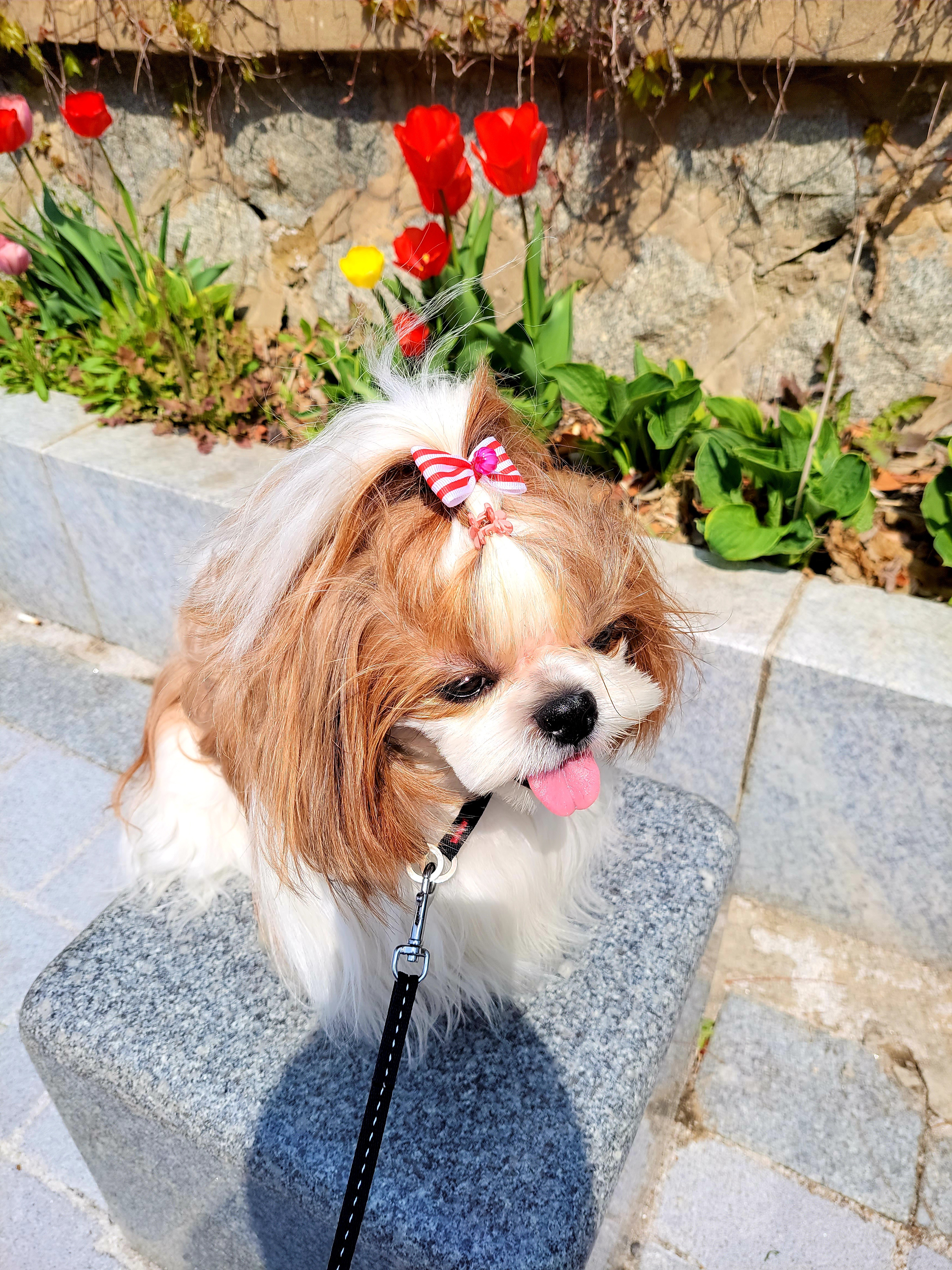 리뷰 사진 1