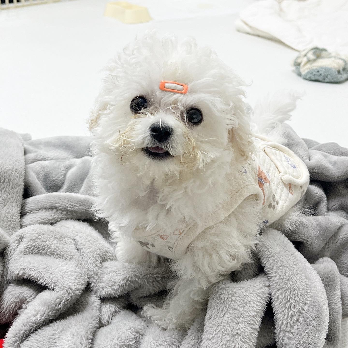 리뷰 사진 1