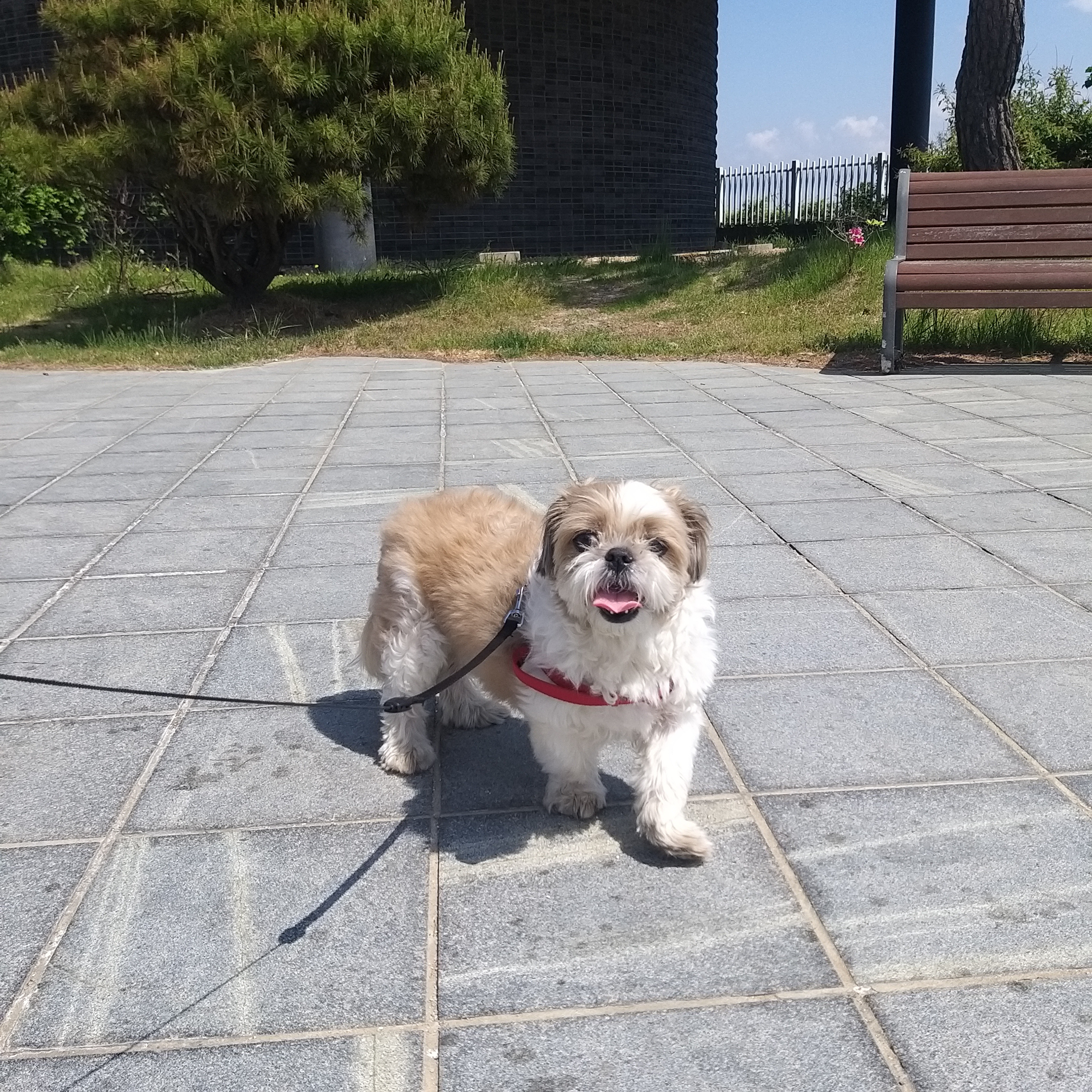 리뷰 사진 1