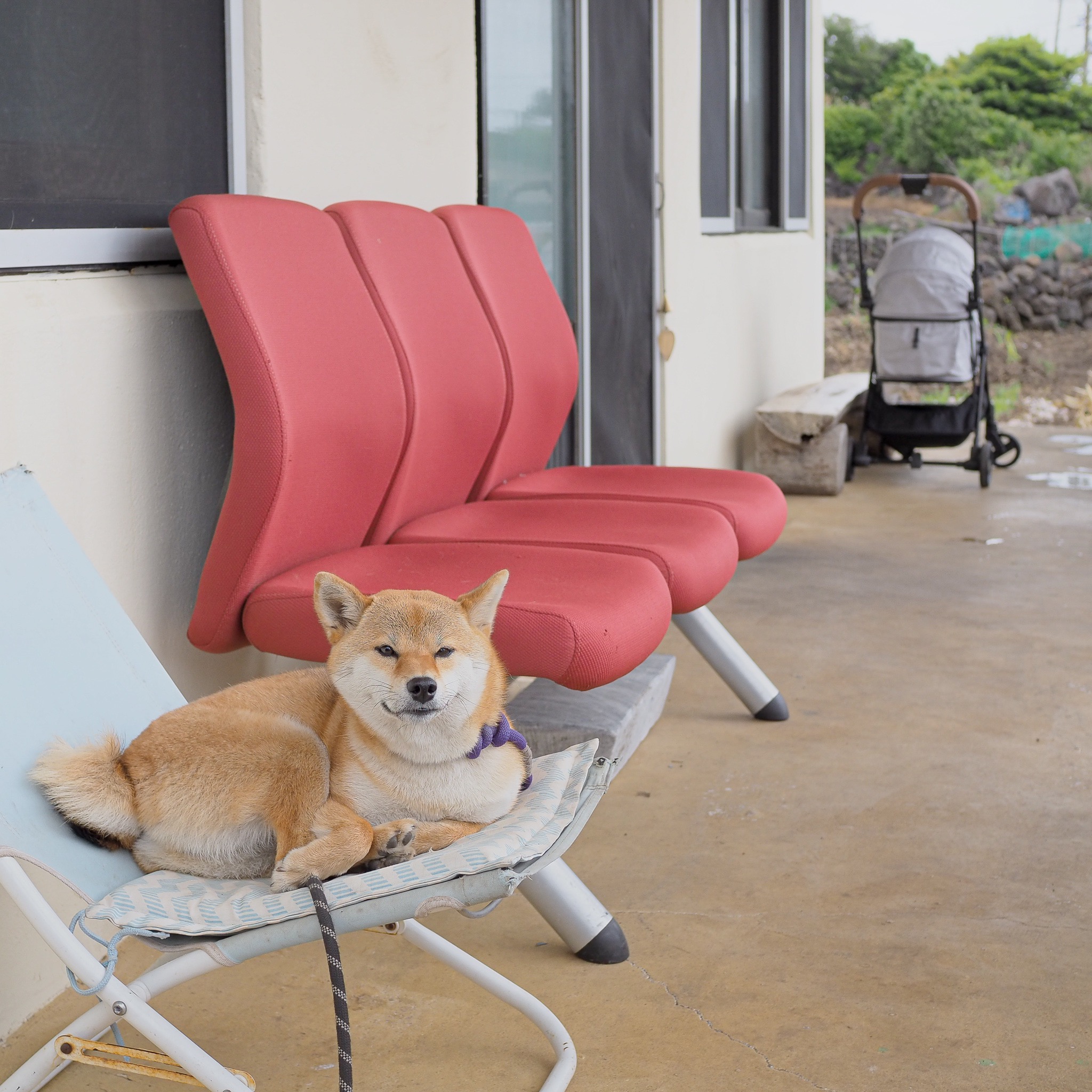 햇살 좋은 야외 테이블