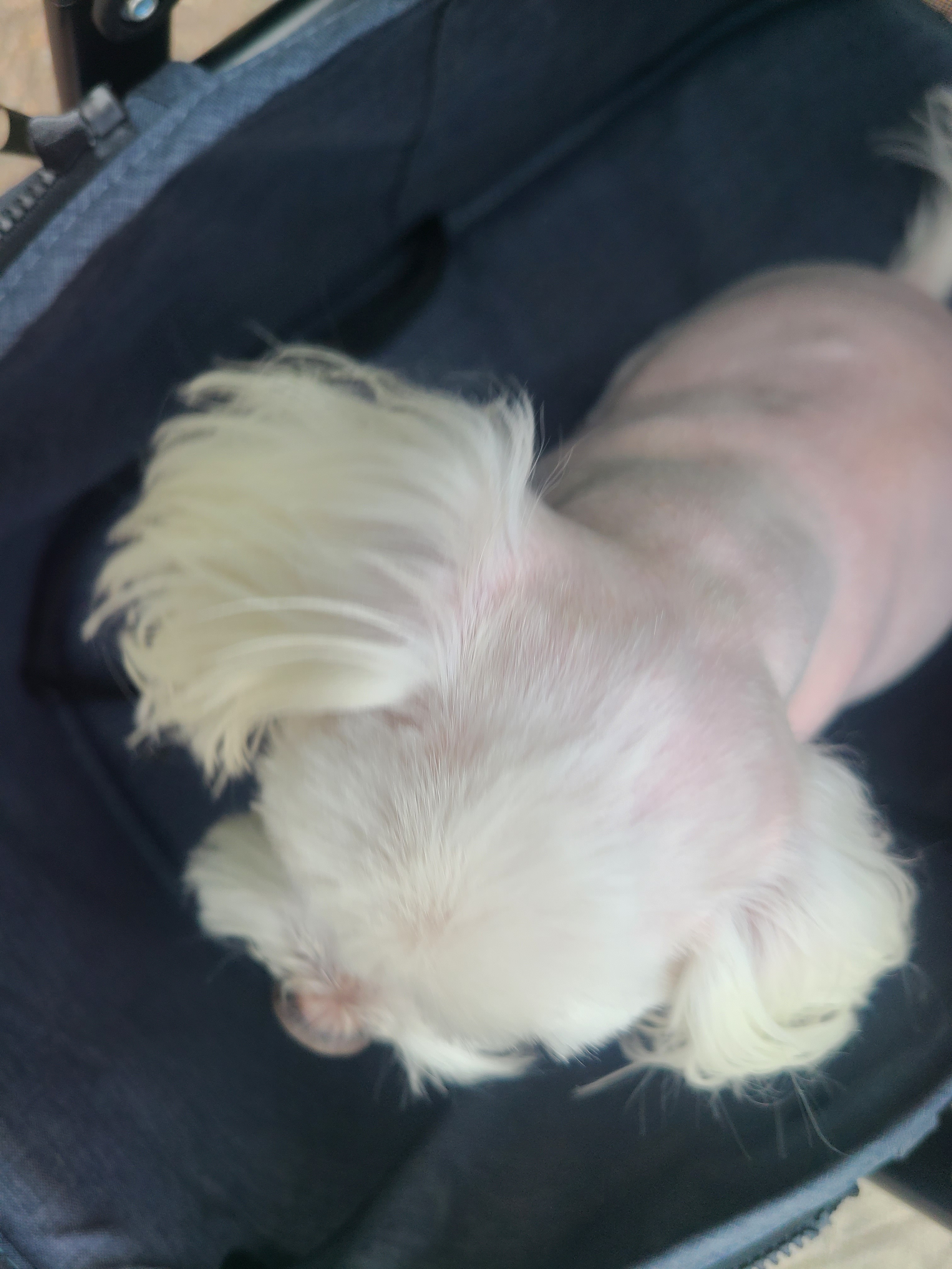 오산동물병원 사진 2