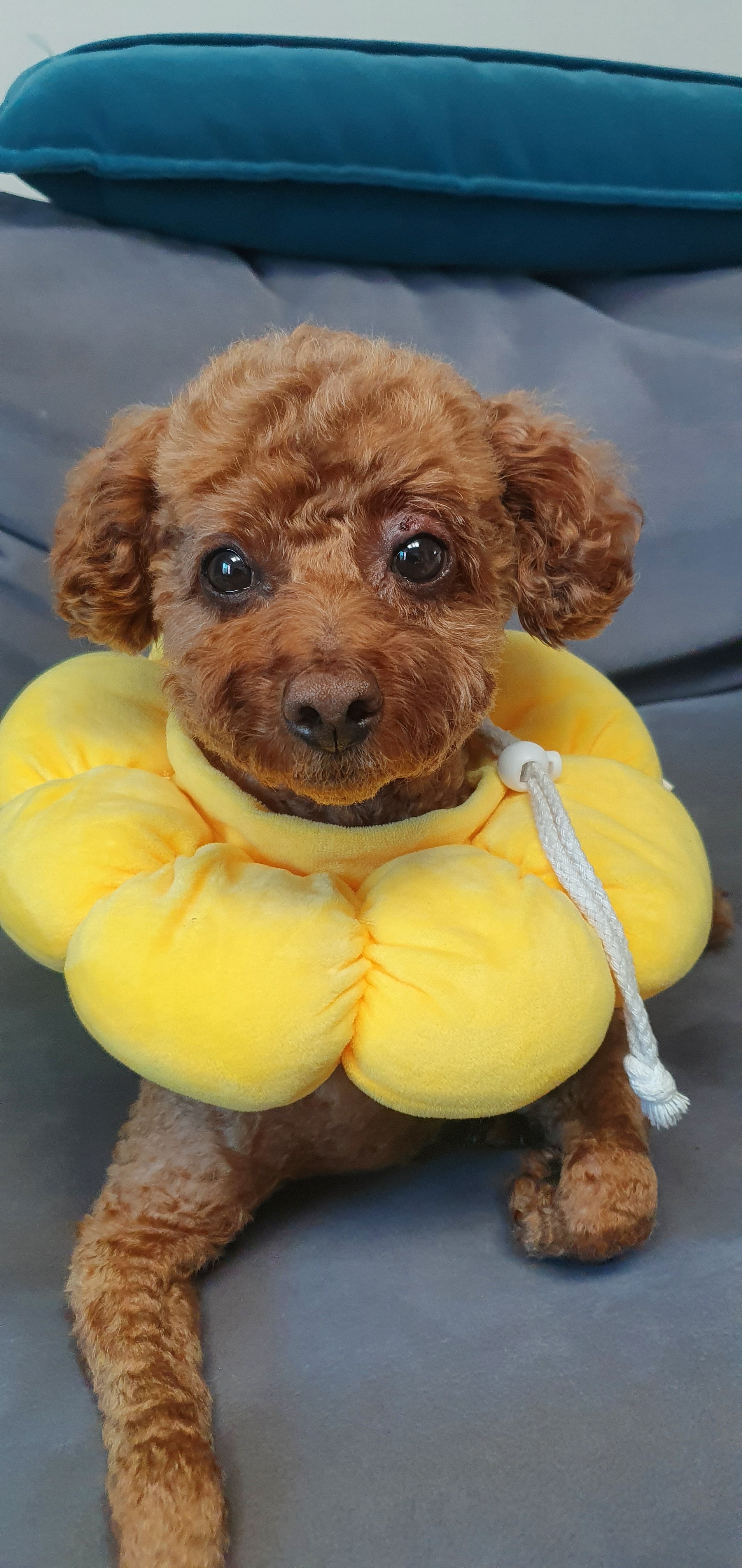 그랜드동물병원 사진 2