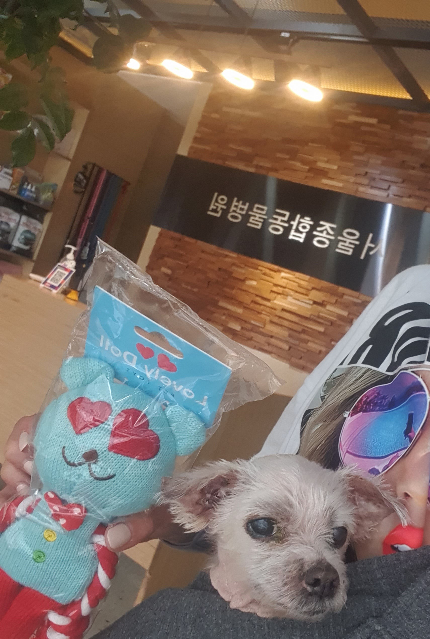 리뷰 사진 2