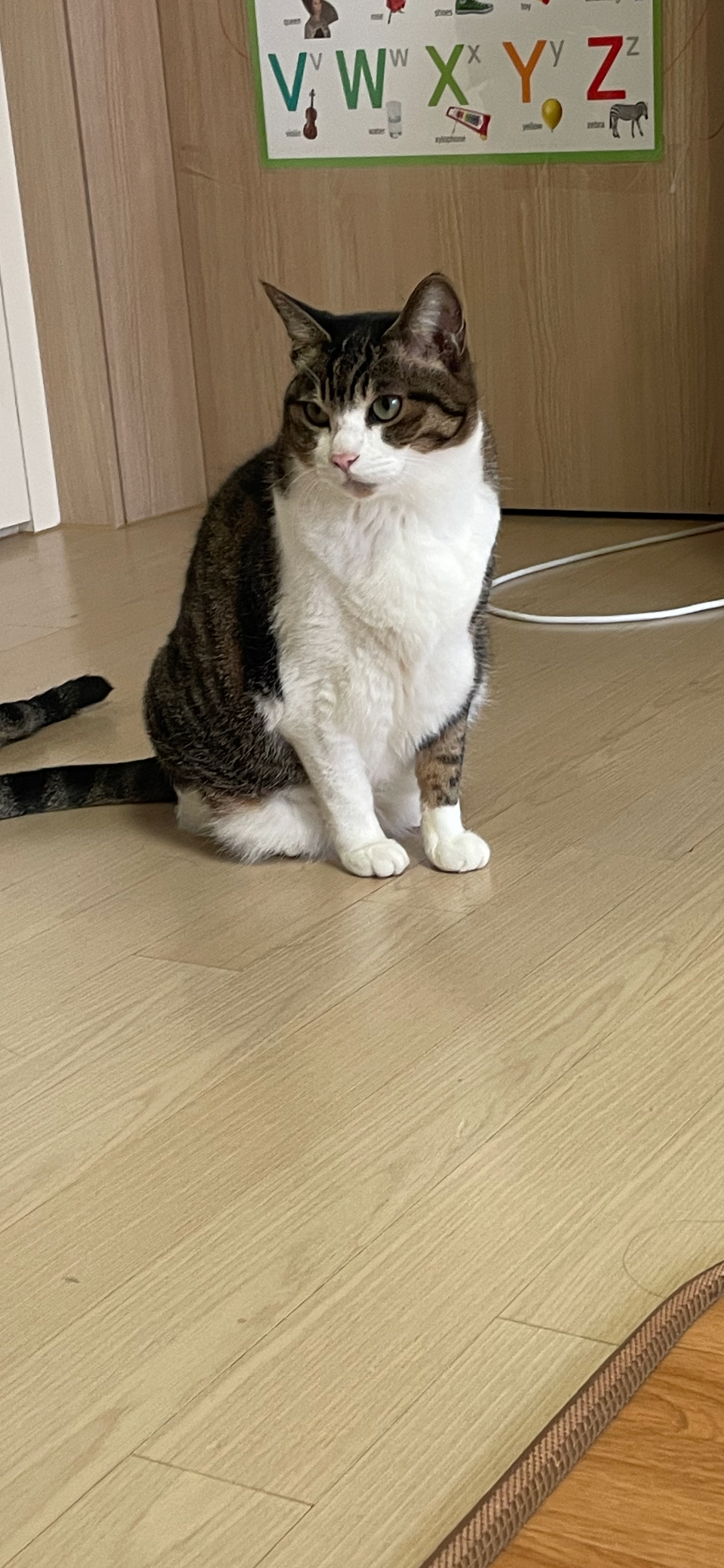 리뷰 사진 5