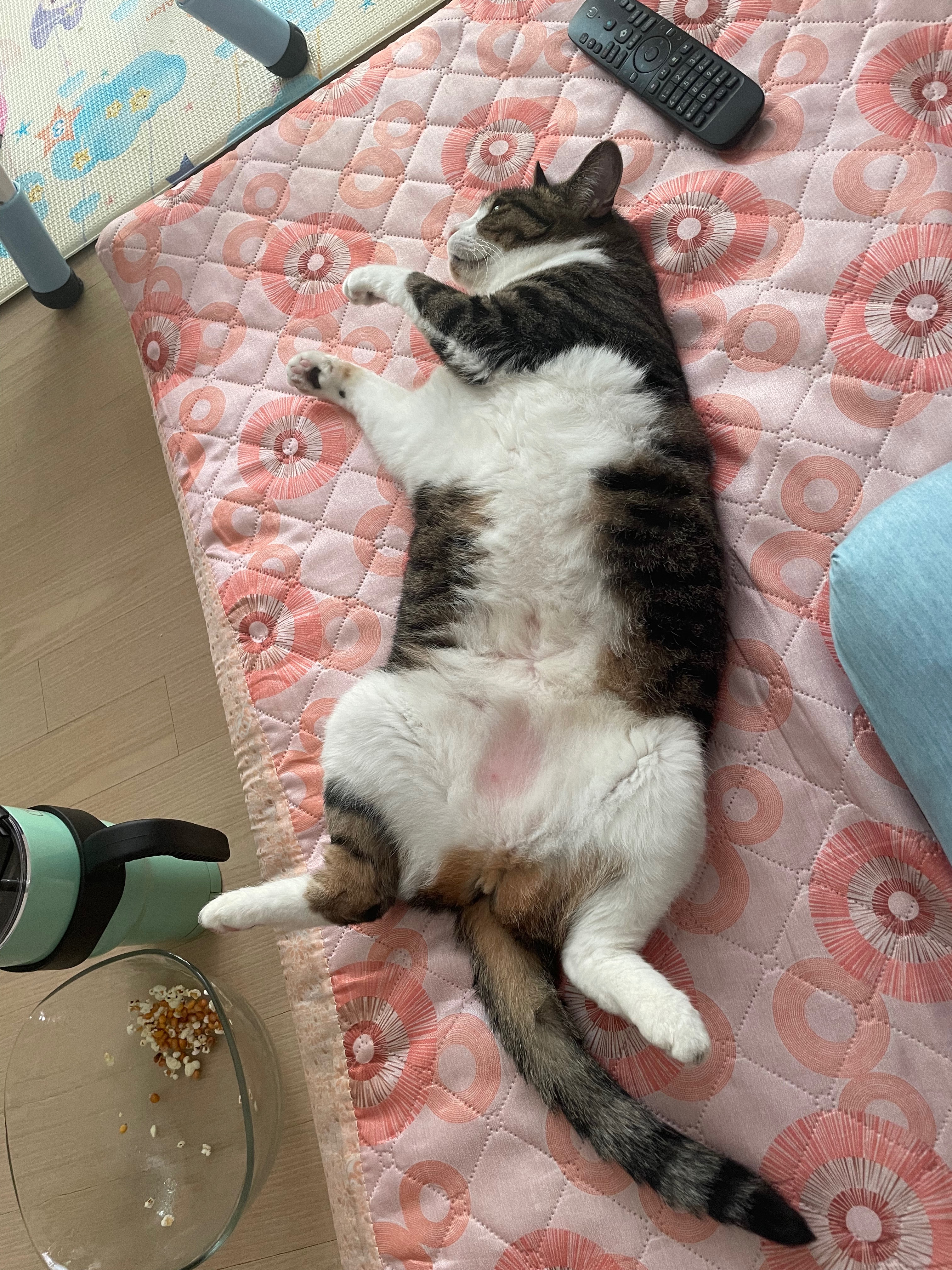 리뷰 사진 2