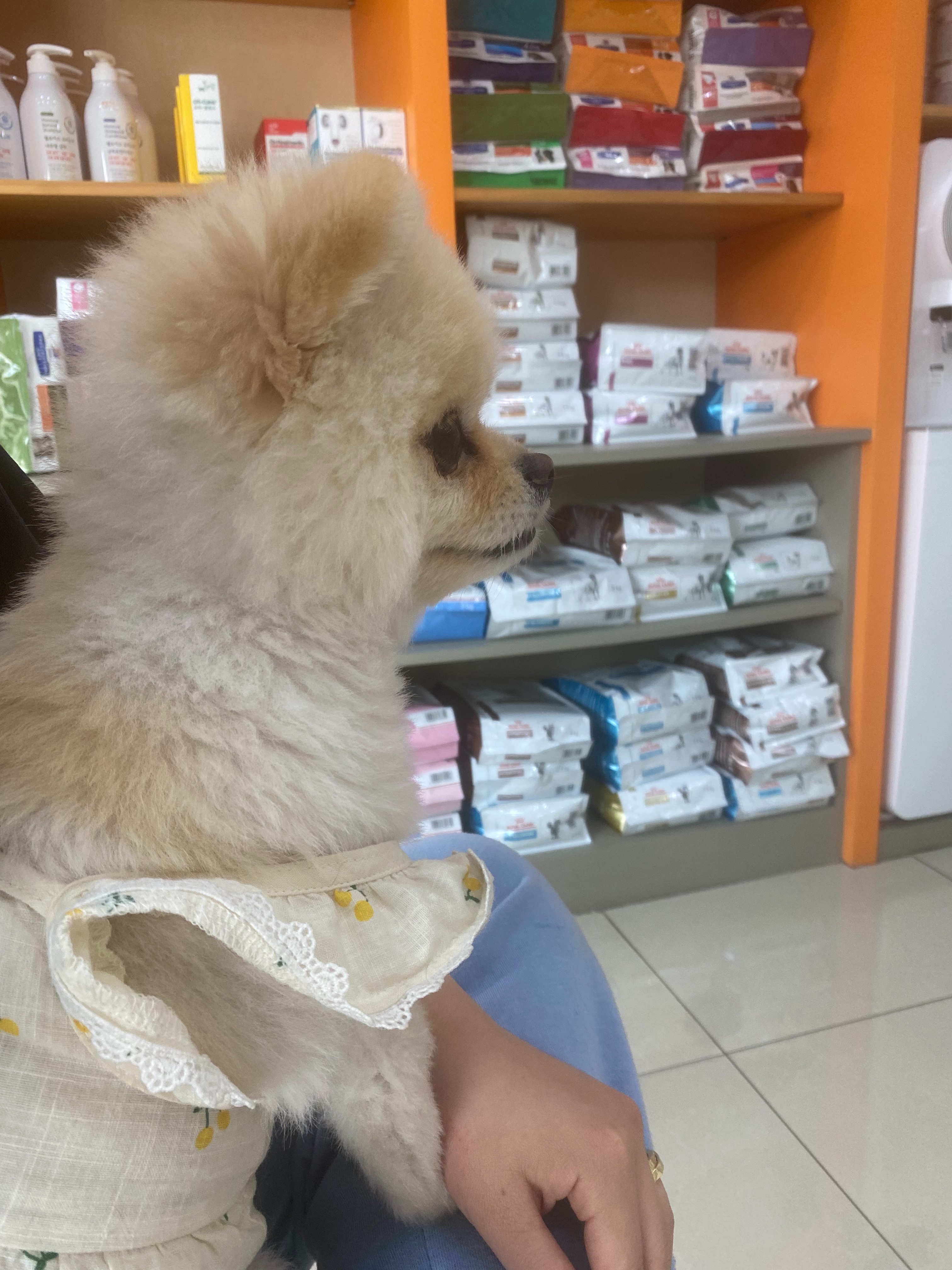 리뷰 사진 1