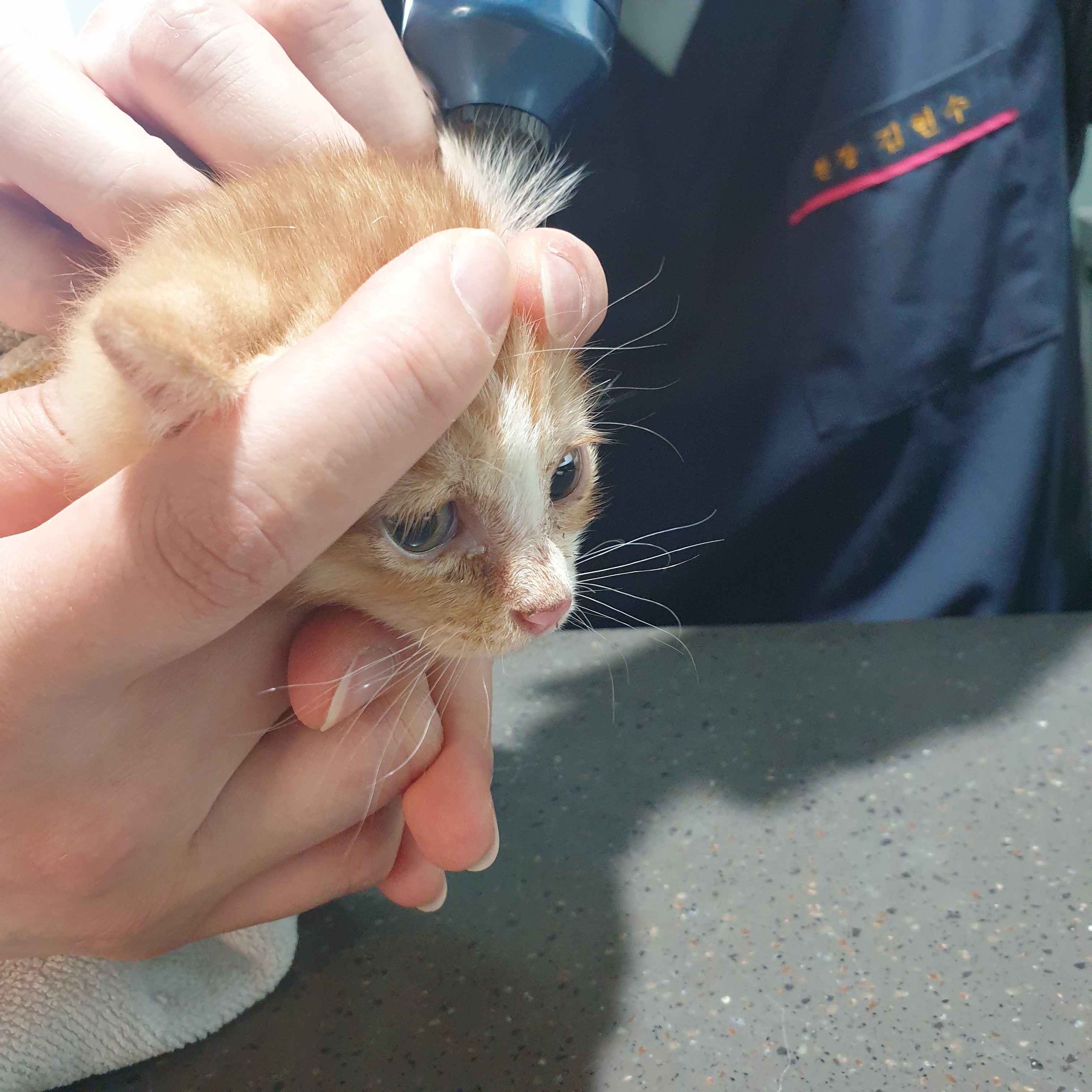 리뷰 사진 1