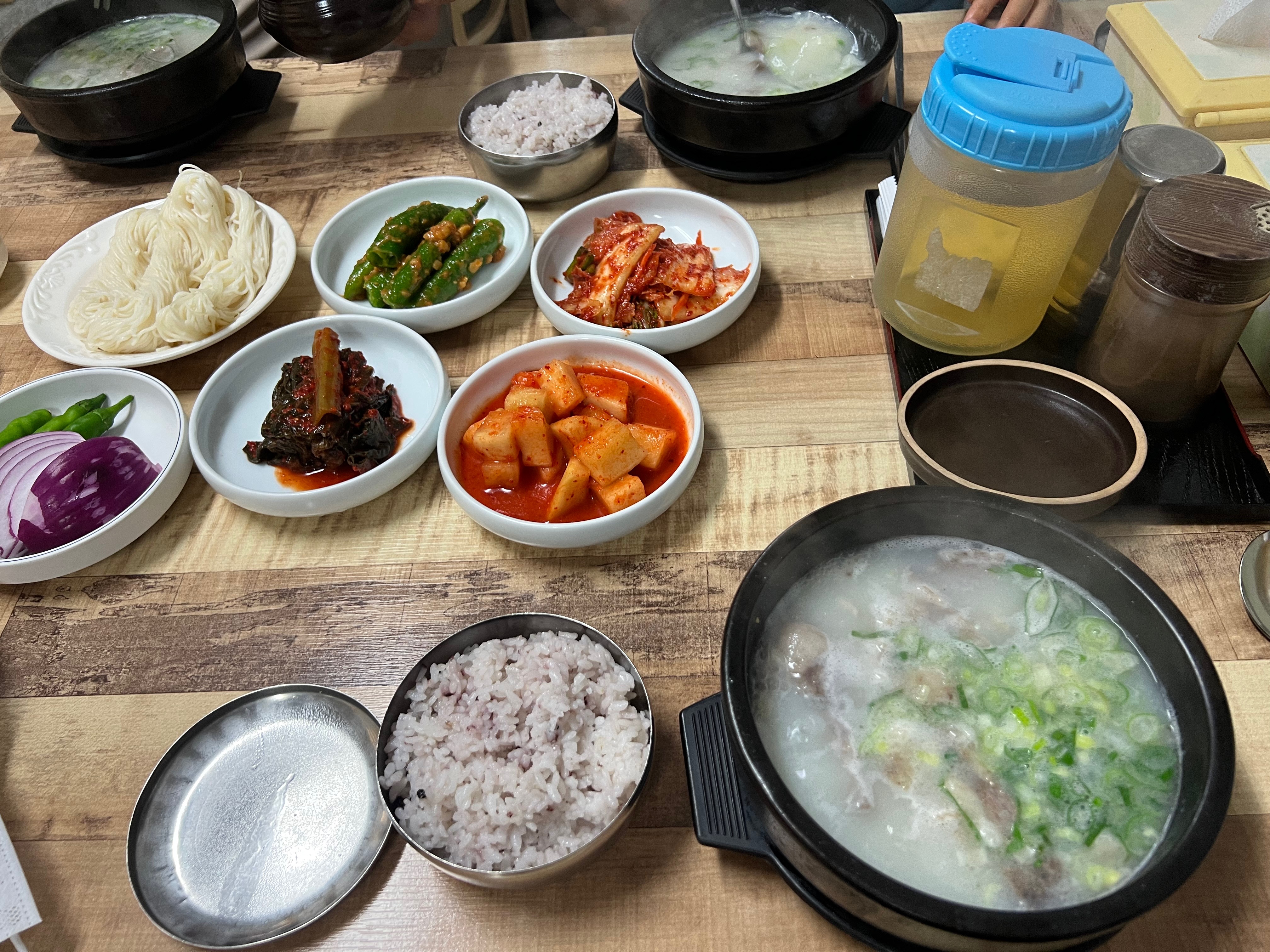 [여수 맛집 물망초설렁탕전문업소] 직접 가본 로컬 리뷰