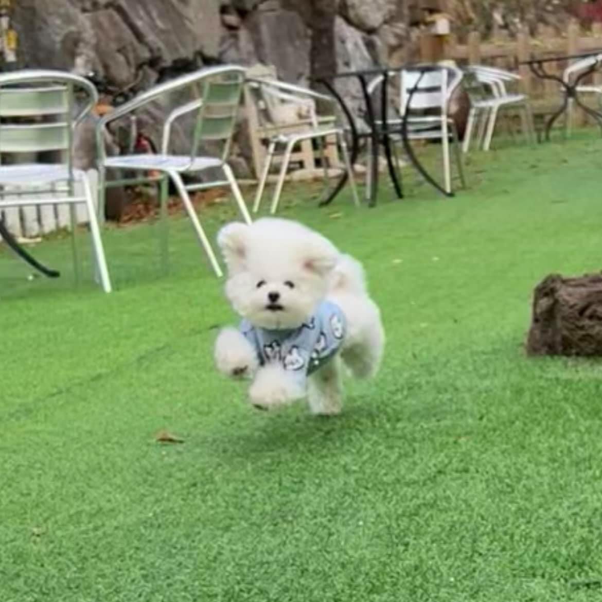 리뷰 사진 2