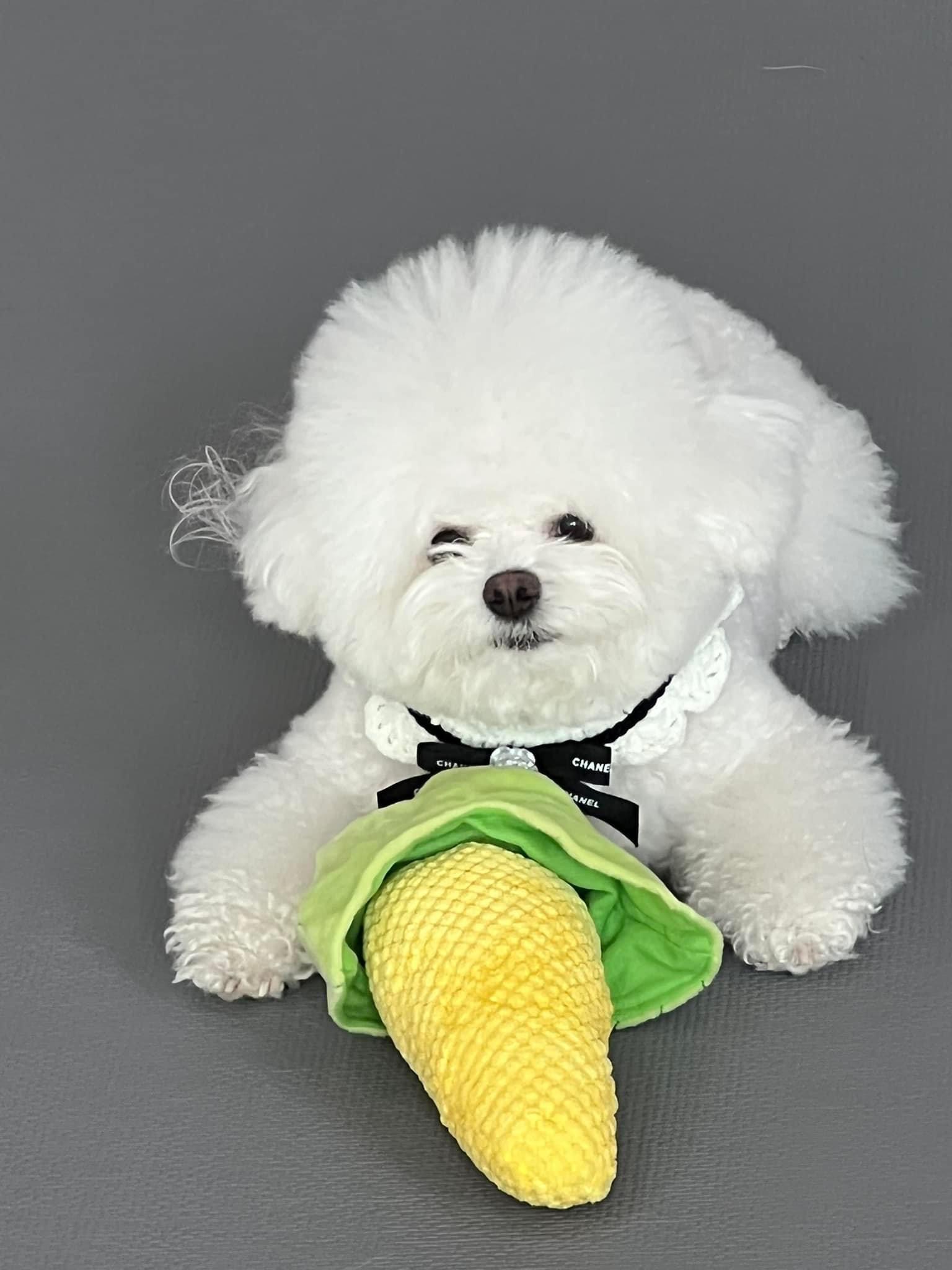 리뷰 사진 1