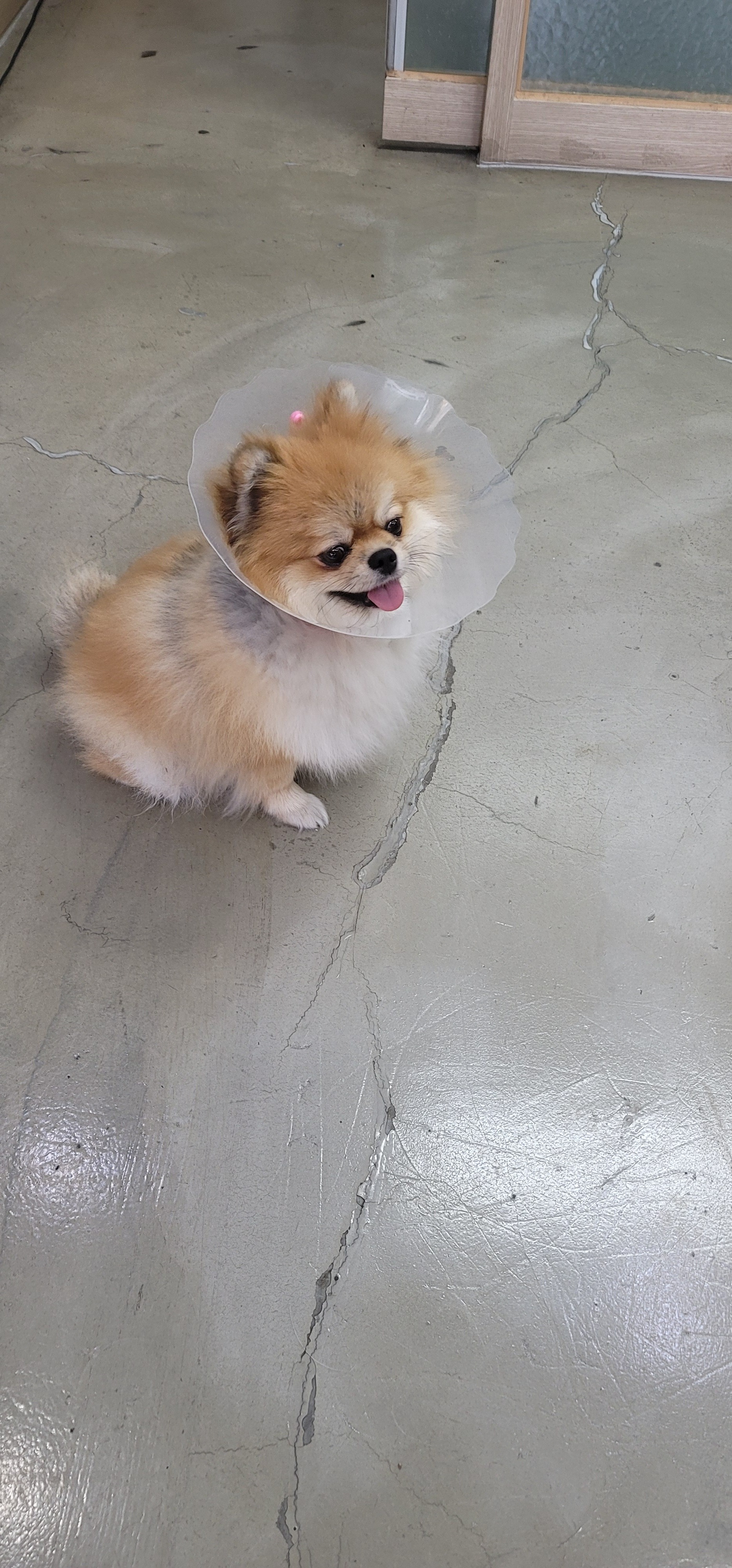 와우 동물병원 사진 2