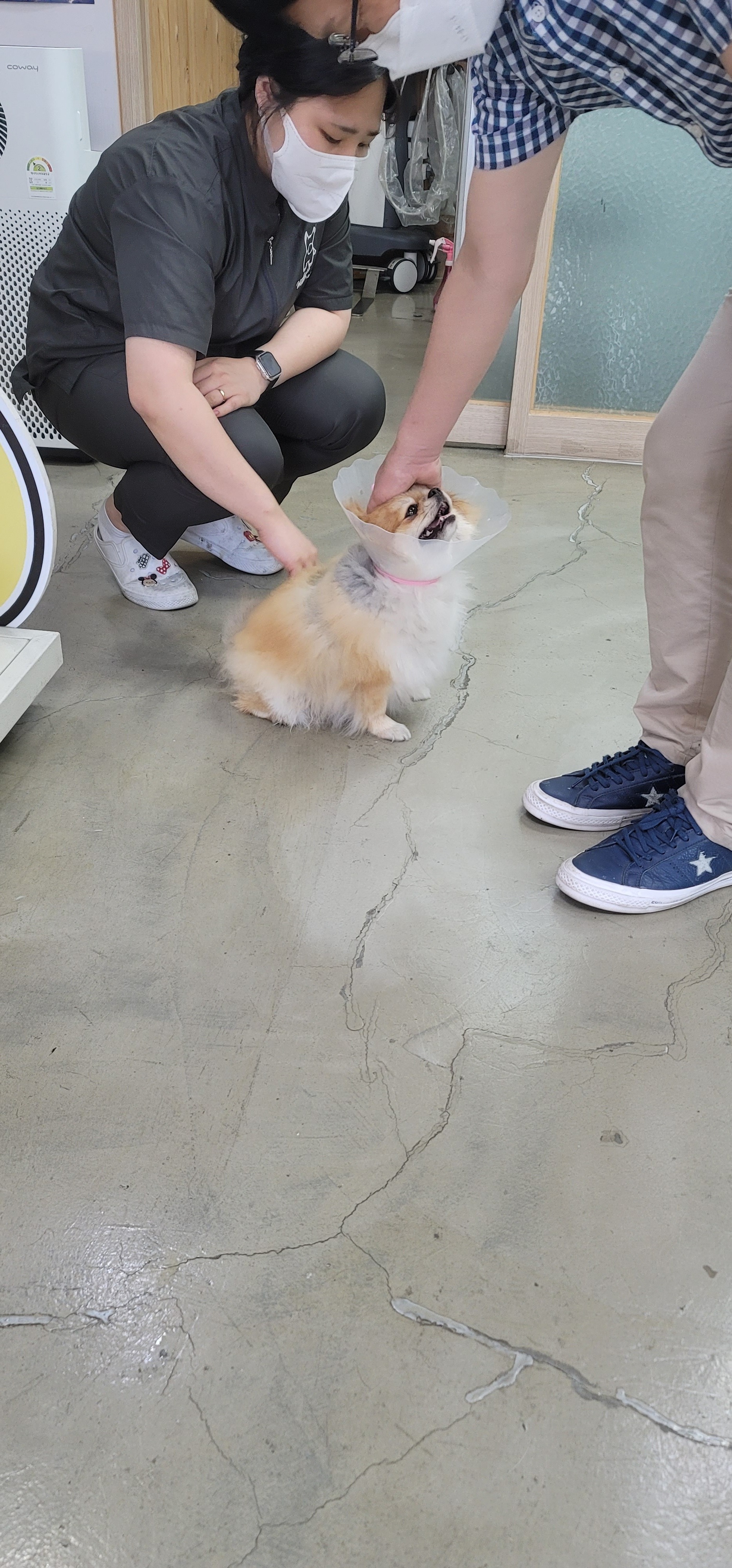리뷰 사진 3