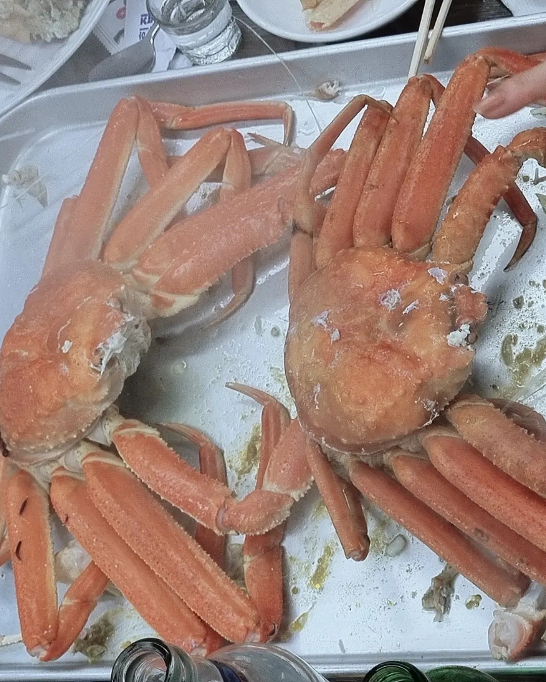 [동해 맛집 묵호원조대게] 직접 가본 로컬 리뷰