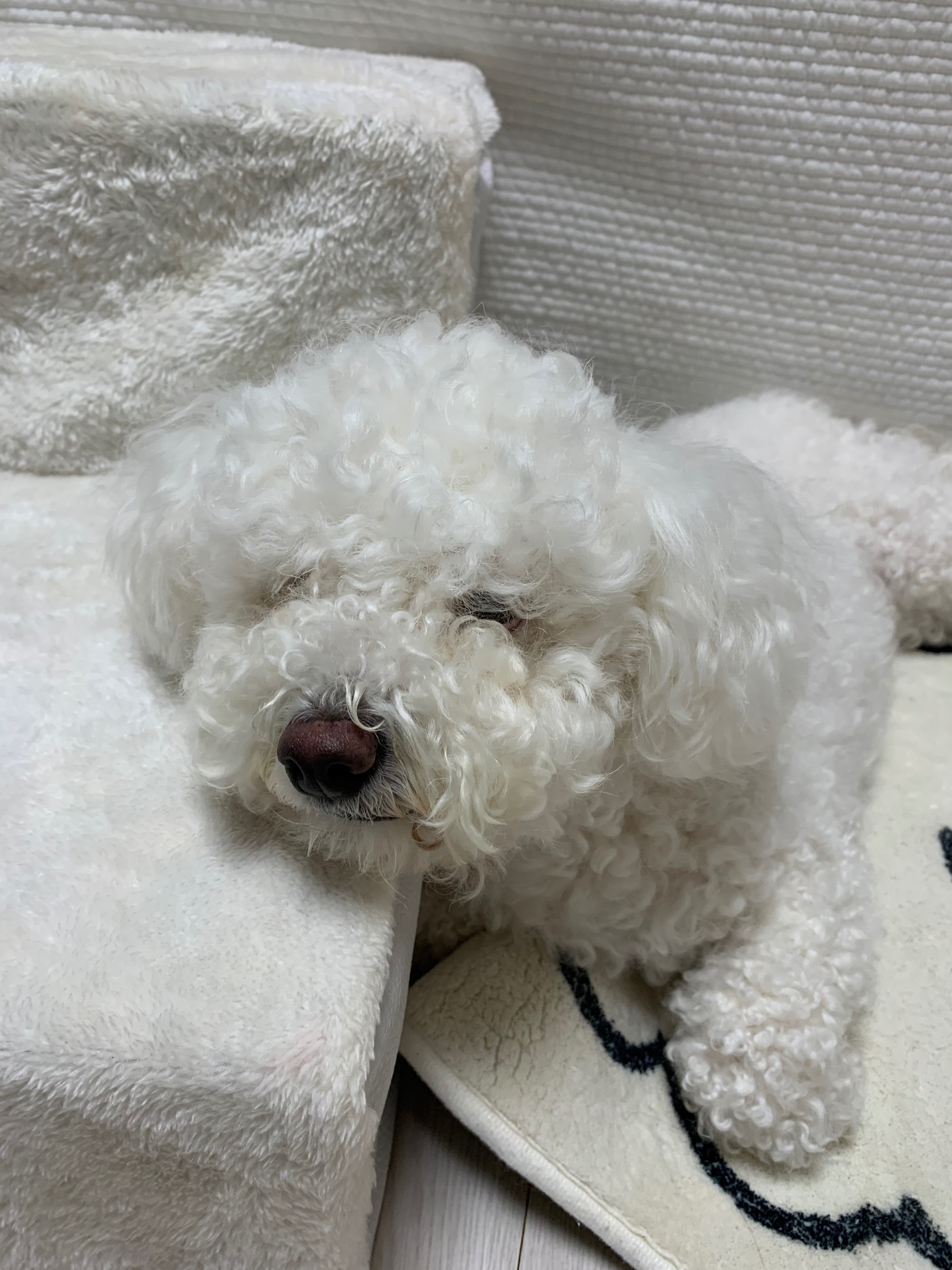 리뷰 사진 1