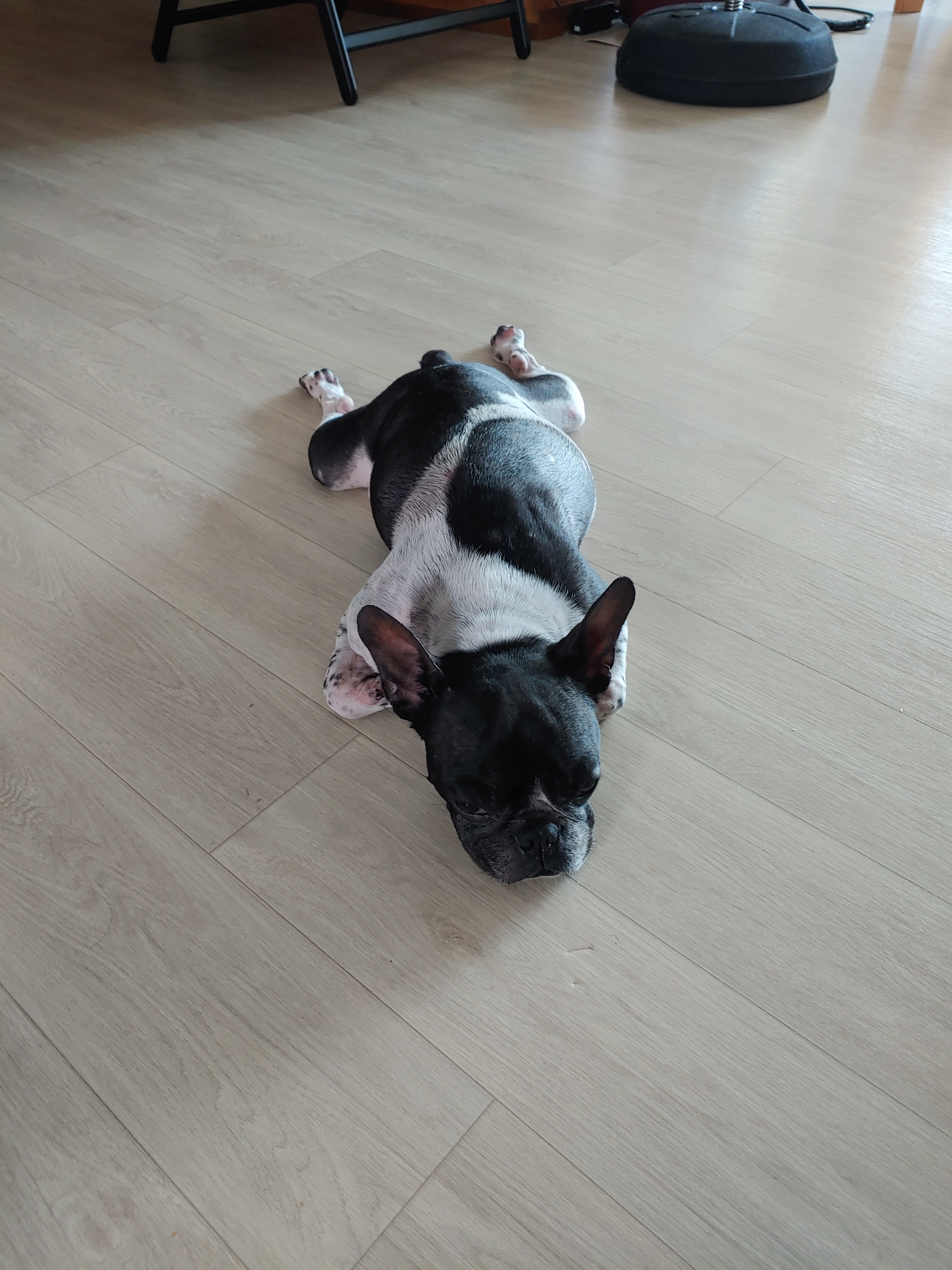 리뷰 사진 1