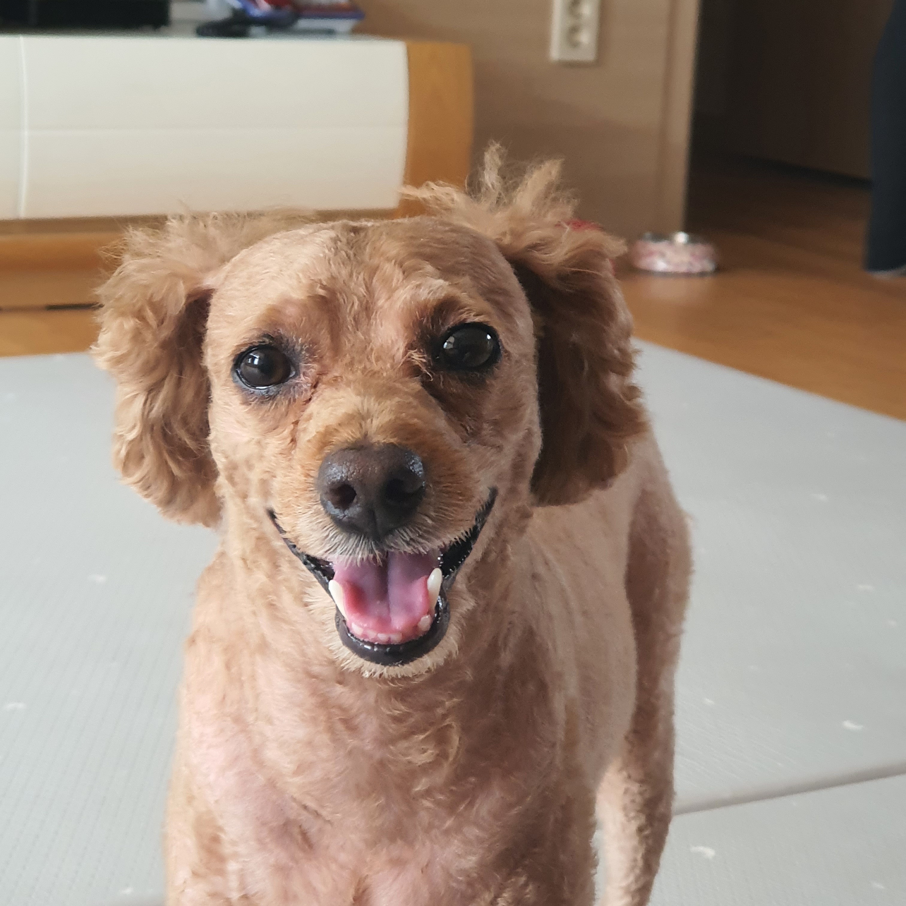 스타동물병원 사진 3