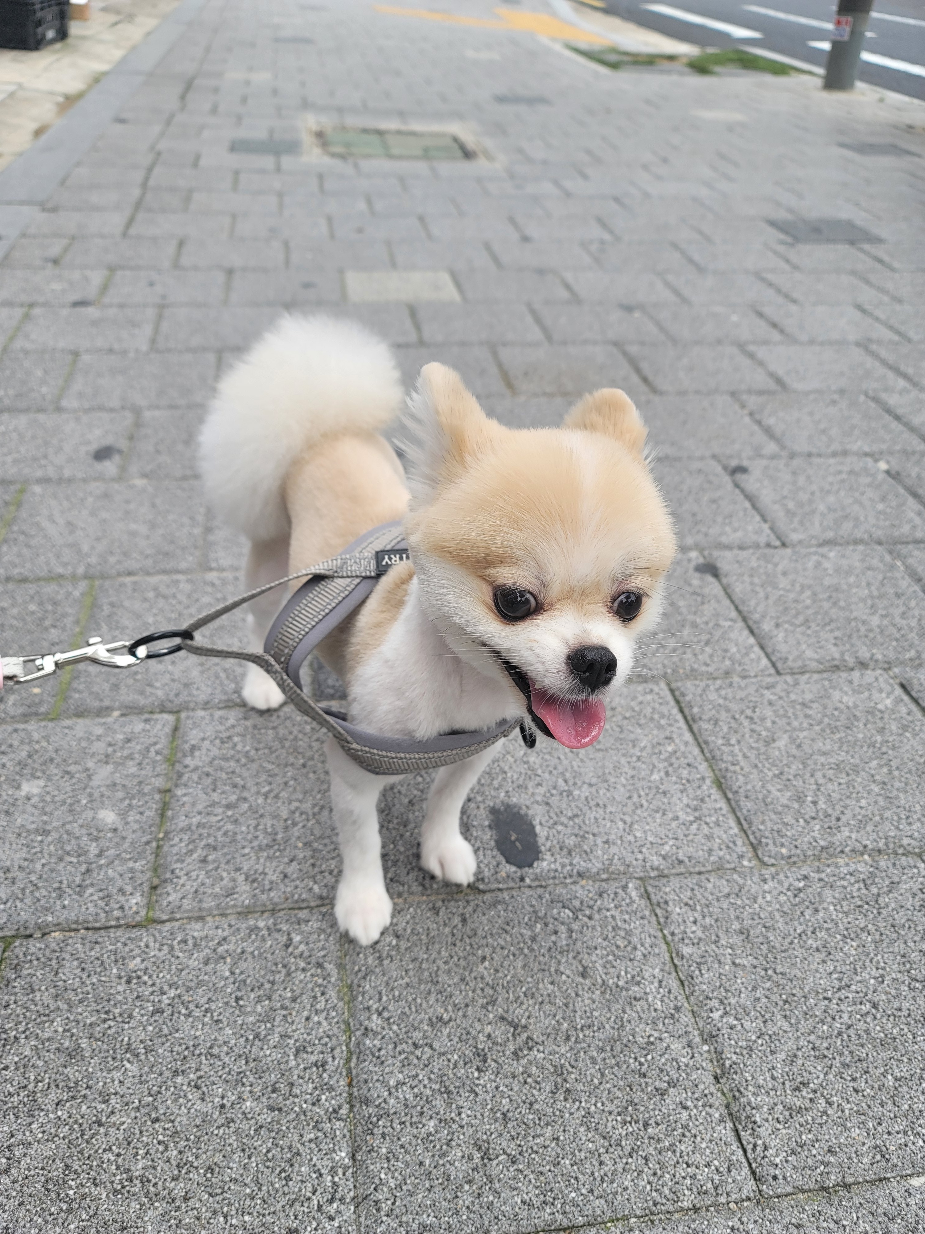 리뷰 사진 2