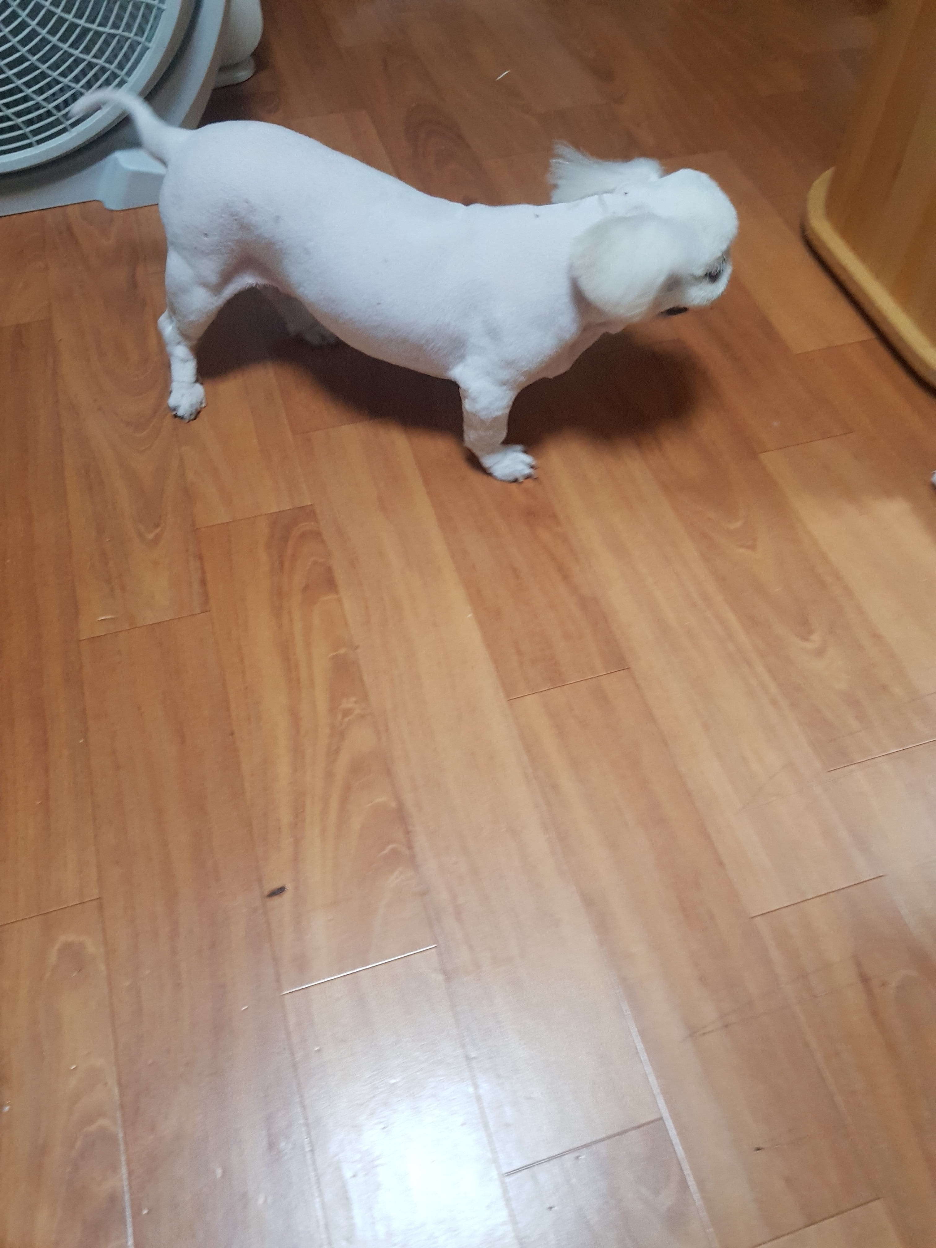 리뷰 사진 1