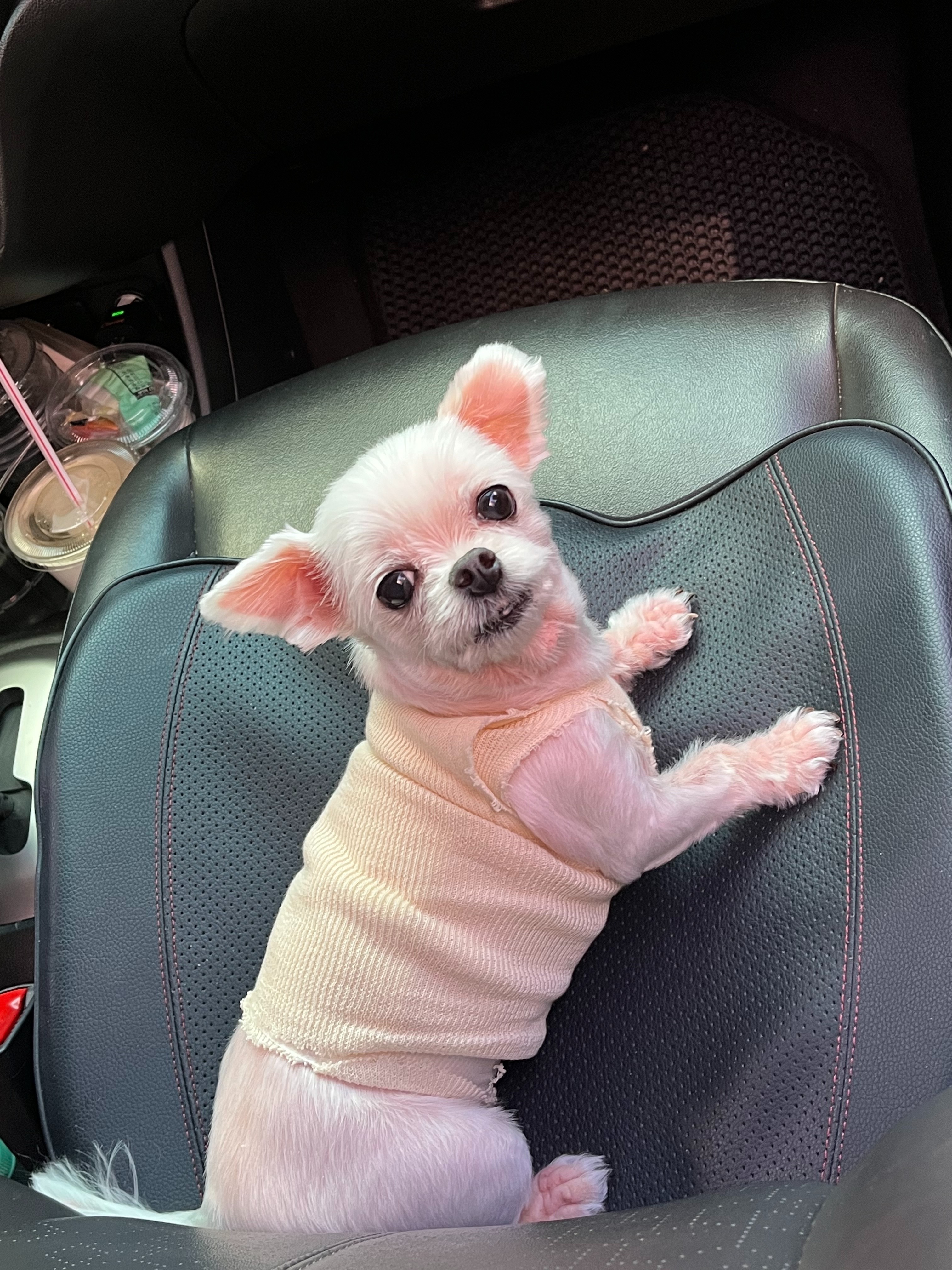 강앤정 동물병원 사진 2