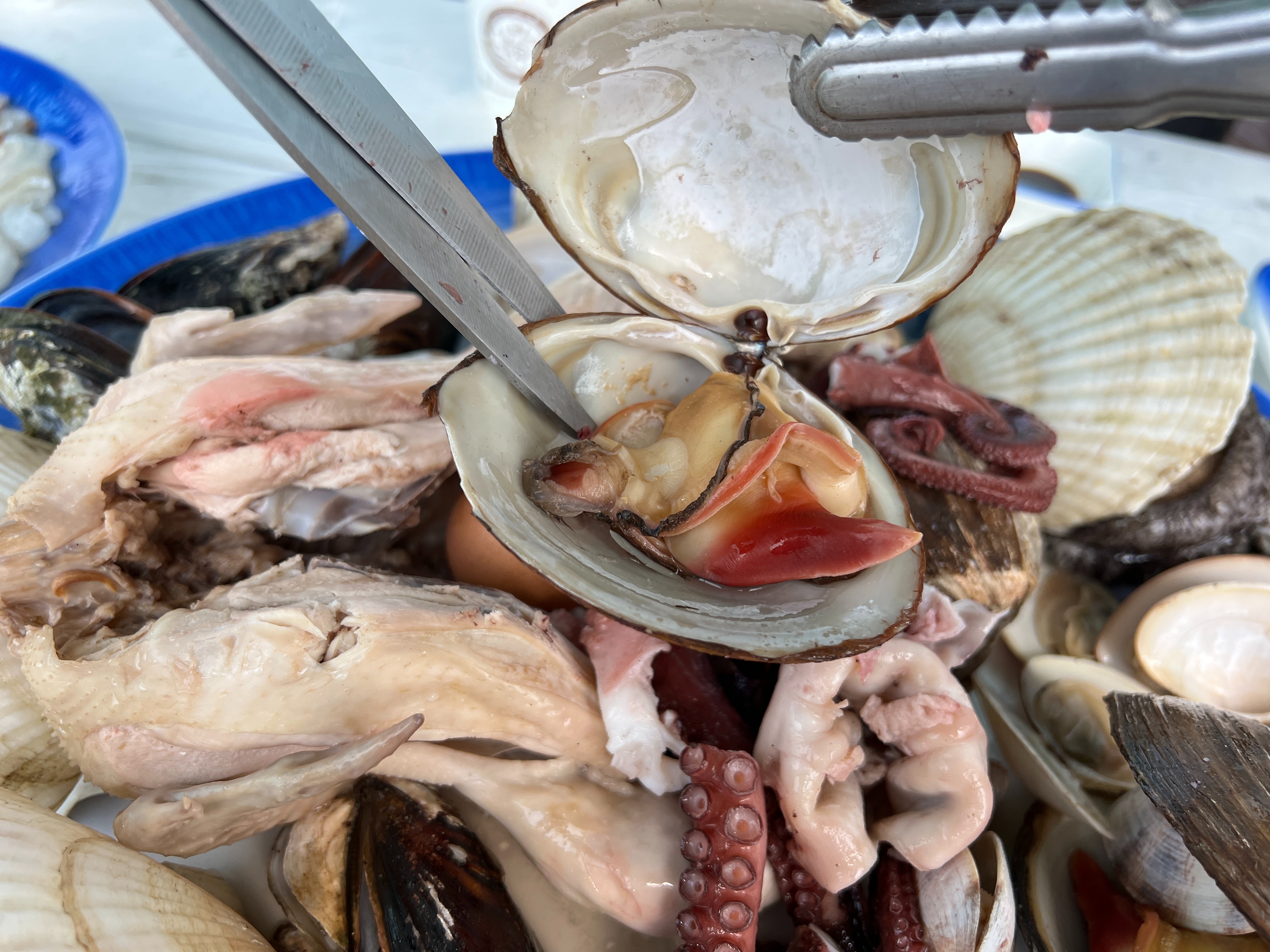 [삼척 맛집 성준수산] 직접 가본 로컬 리뷰
