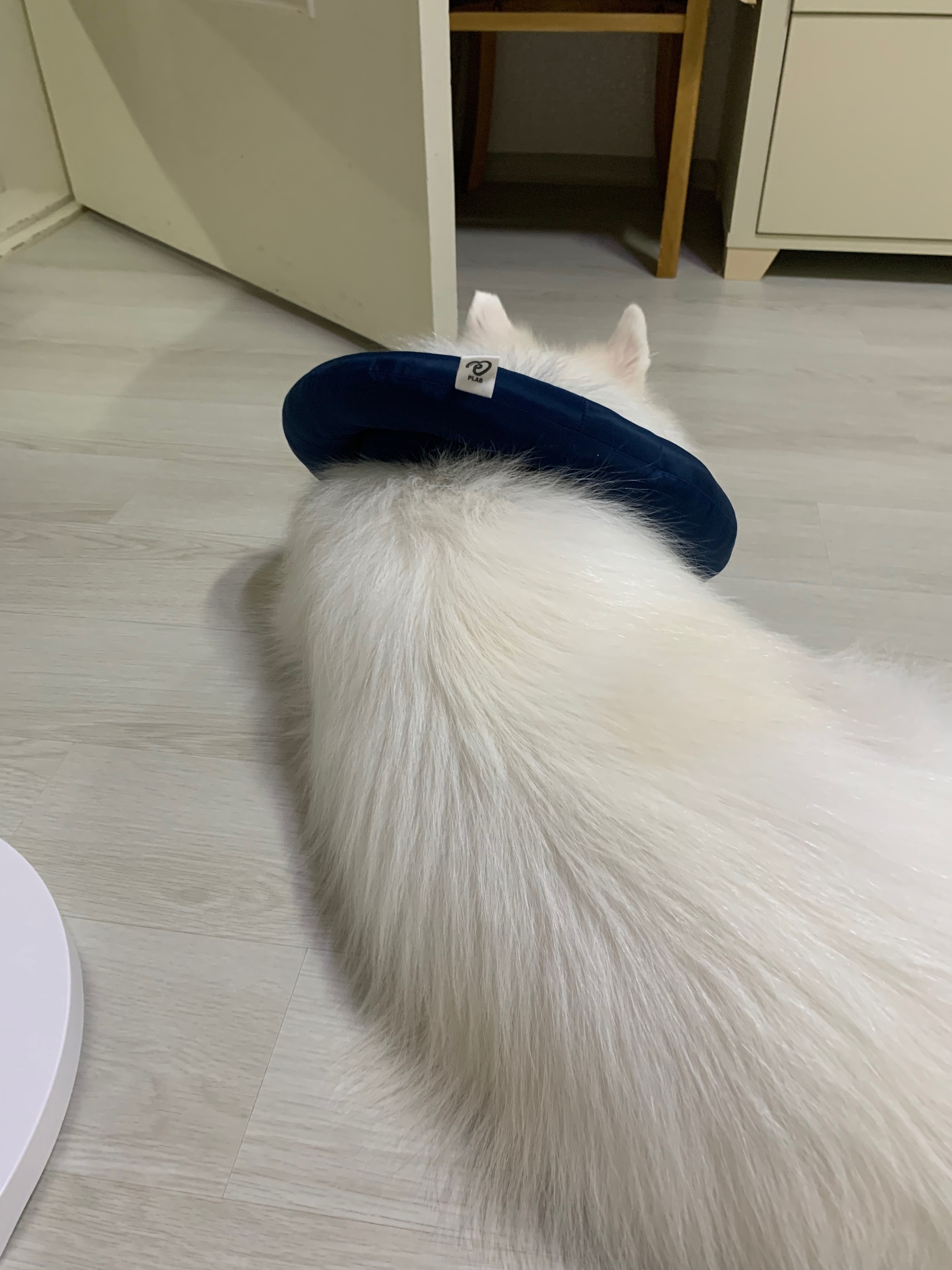 리뷰 사진 2