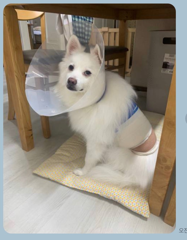 리뷰 사진 1