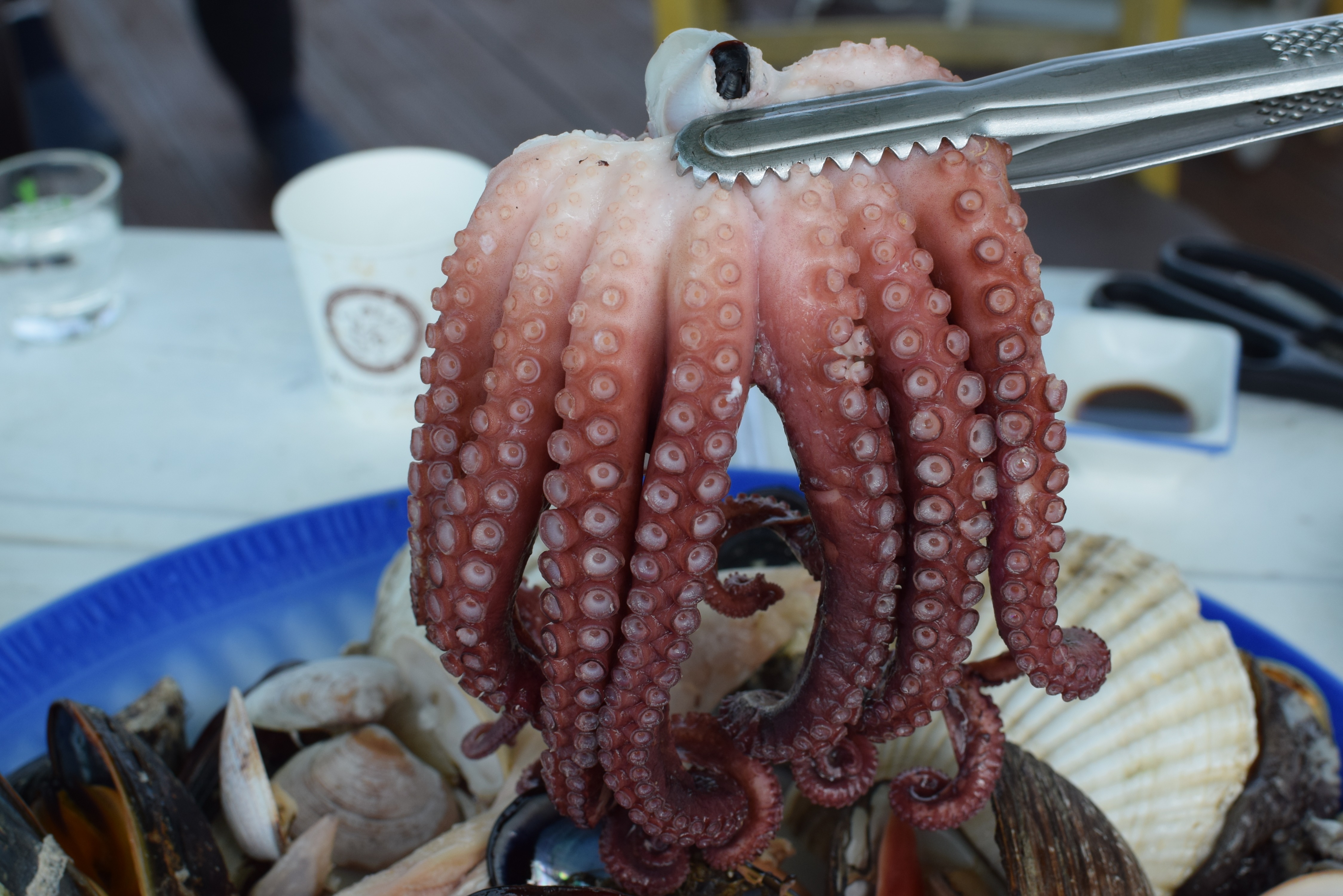 [삼척 맛집 성준수산] 직접 가본 로컬 리뷰