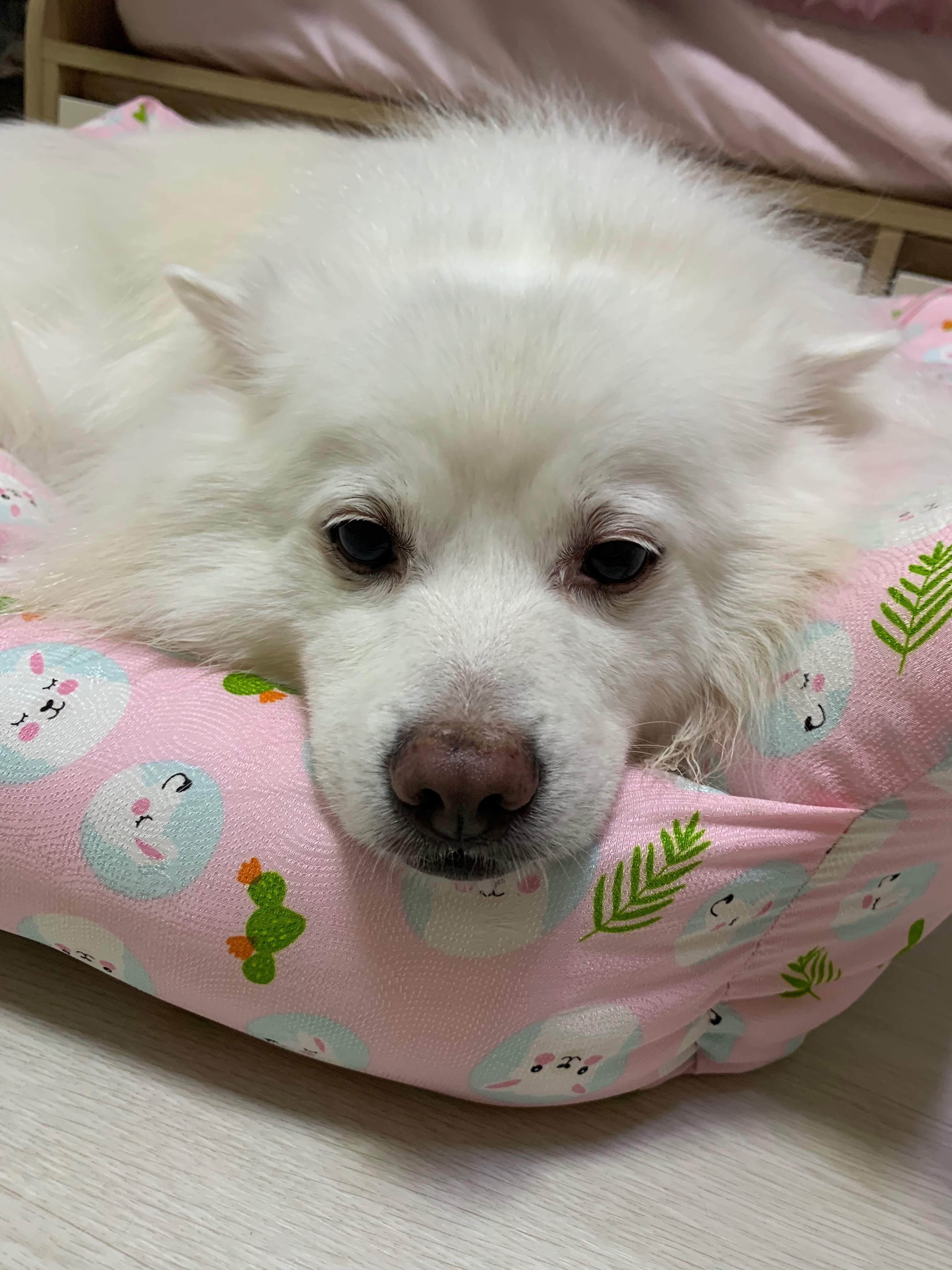 리뷰 사진 3