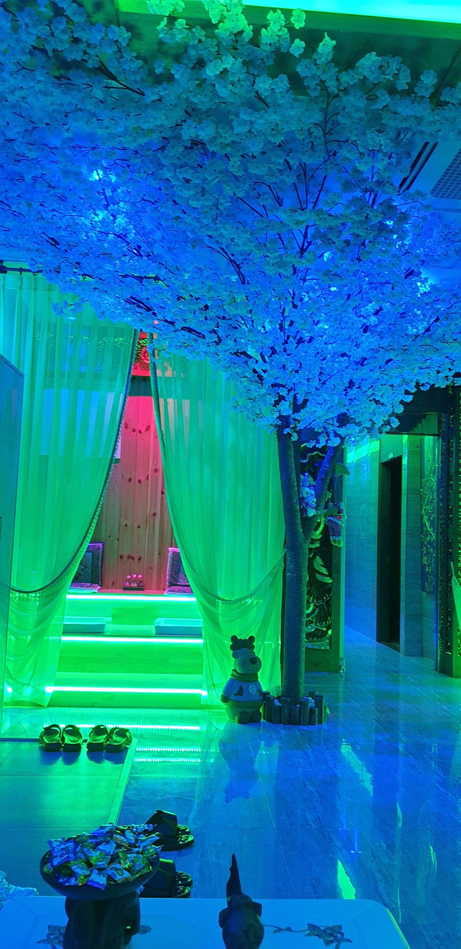 황제타이 (시흥배곧) 매장 사진 10