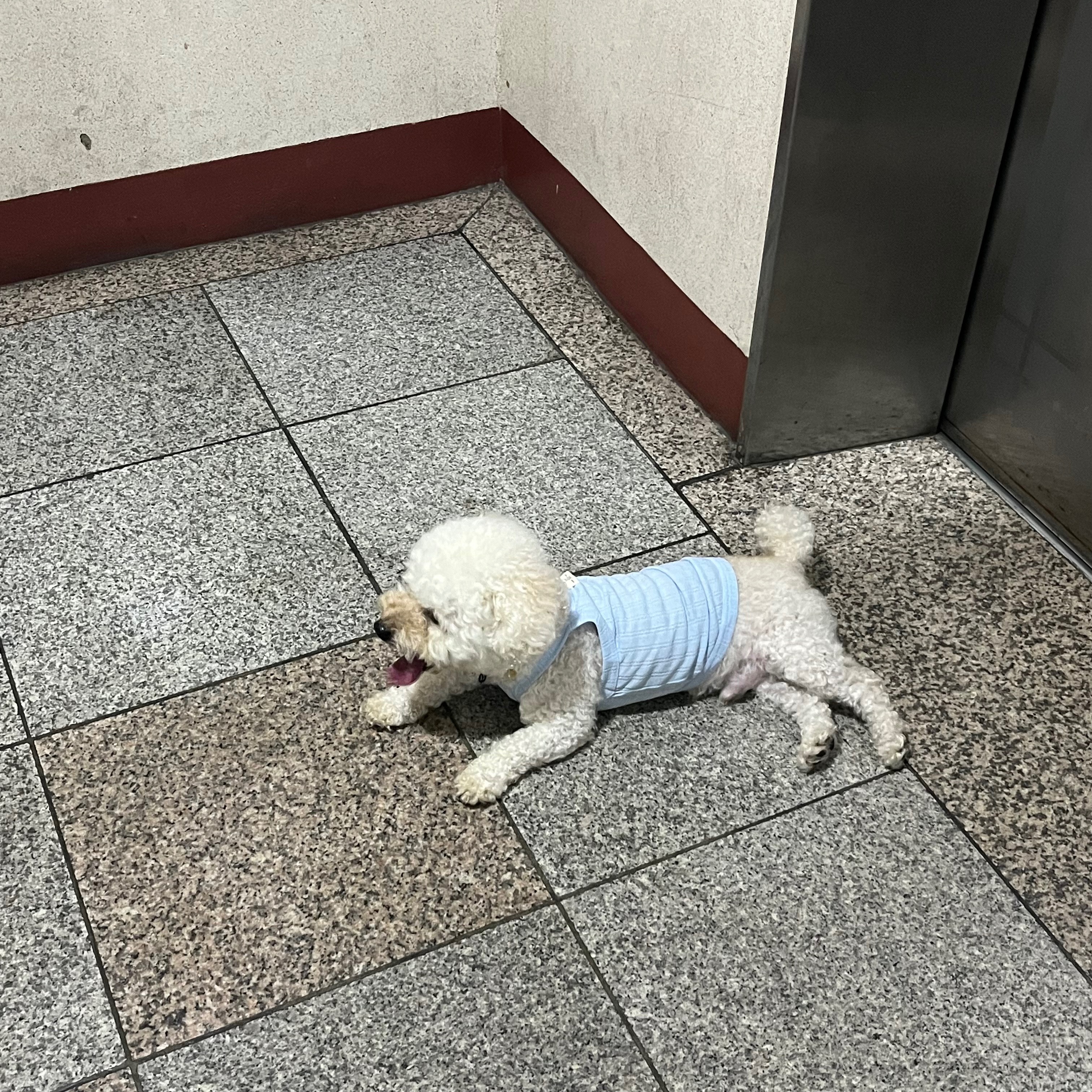 리뷰 사진 1