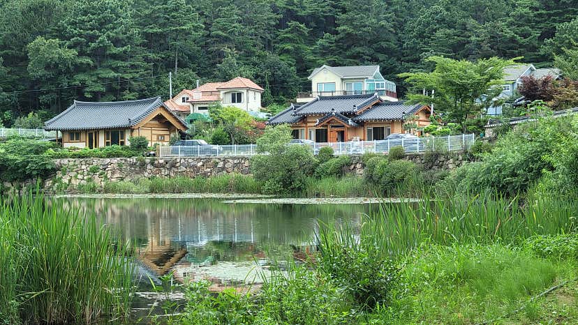 요술공주밍키11님의 농도 리뷰