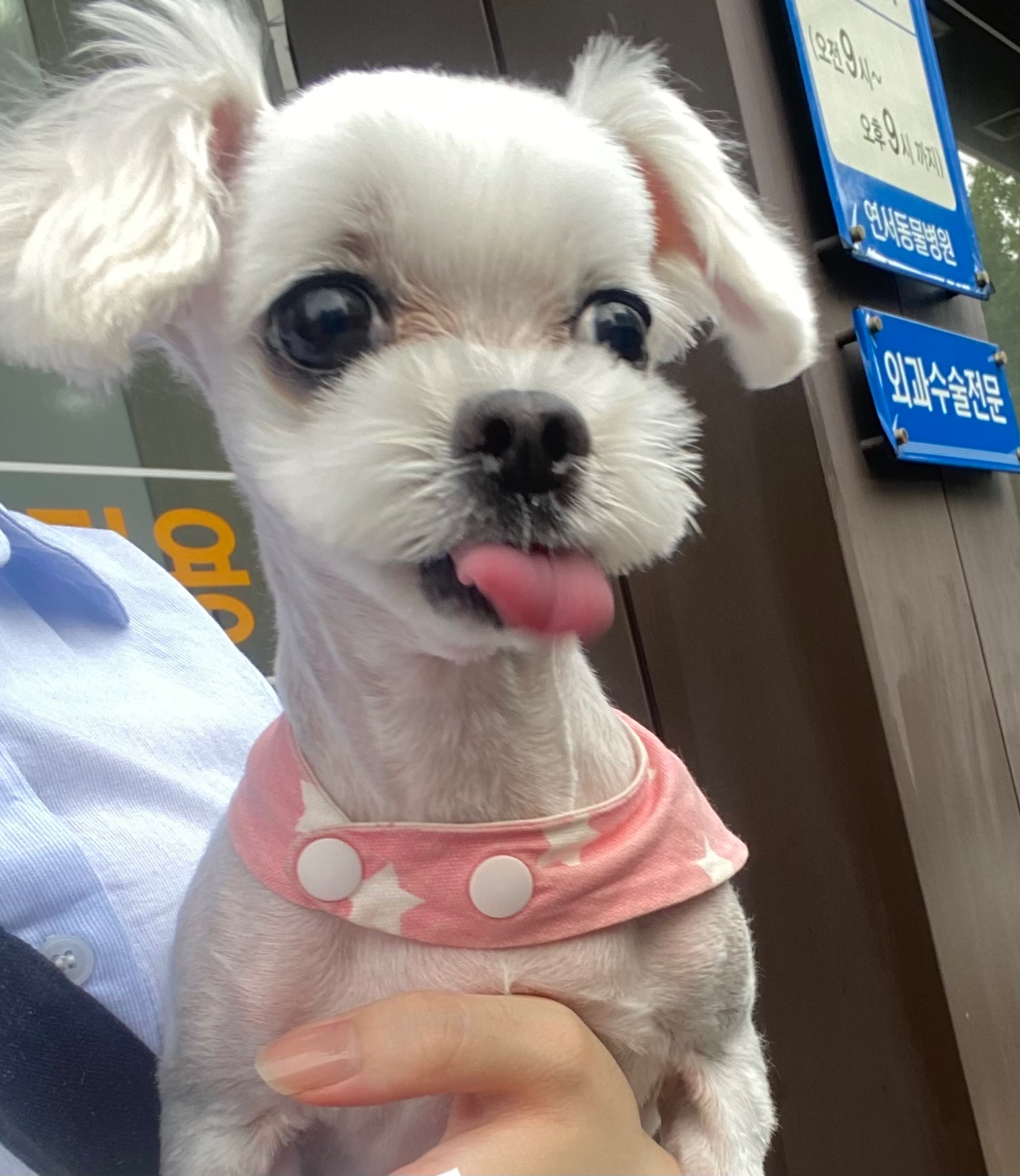 리뷰 사진 1