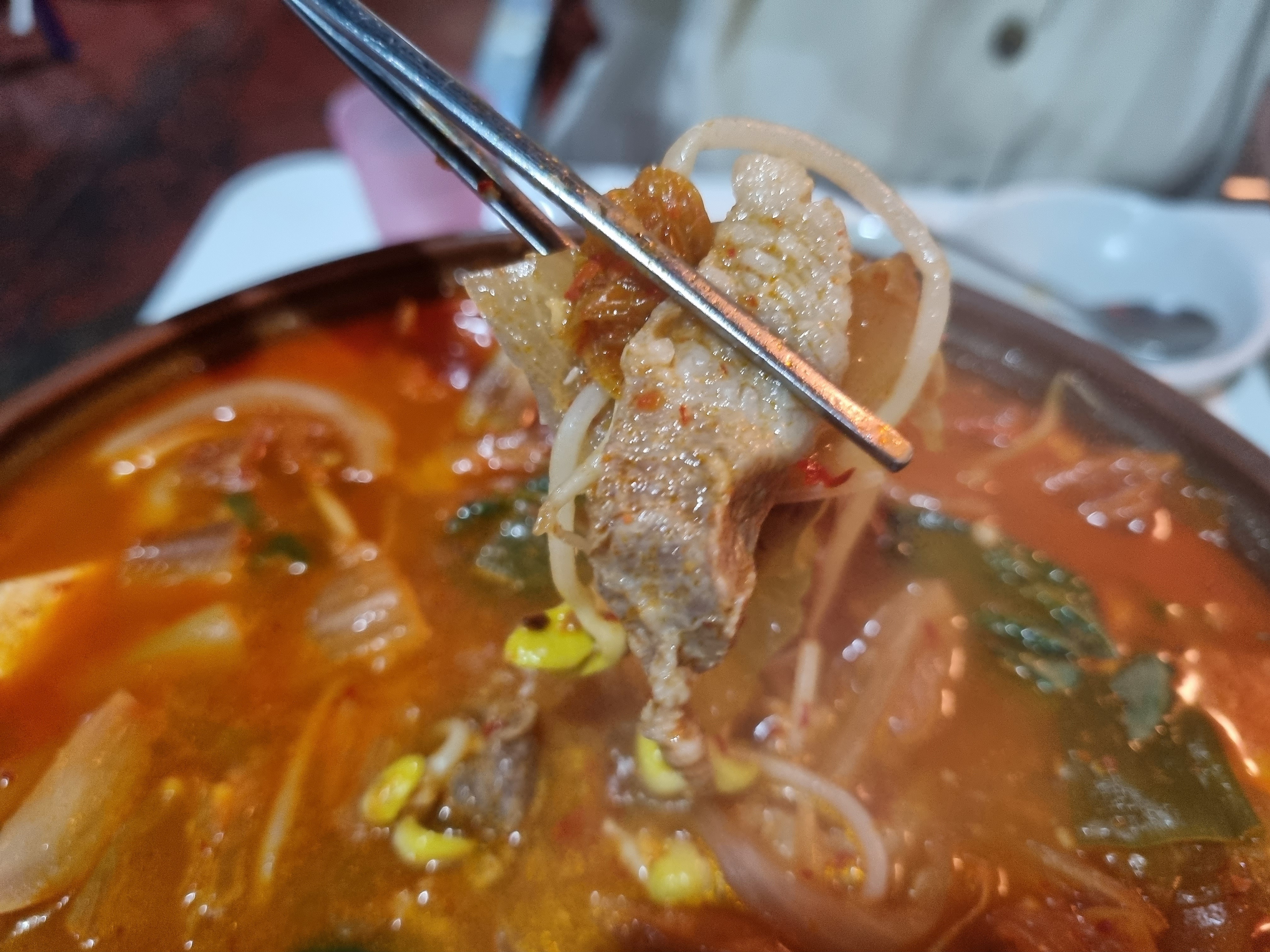 오래된 저의 단골 술집 ㅎㅎ - 부산역 맛집 빨강숲 퓨전포차