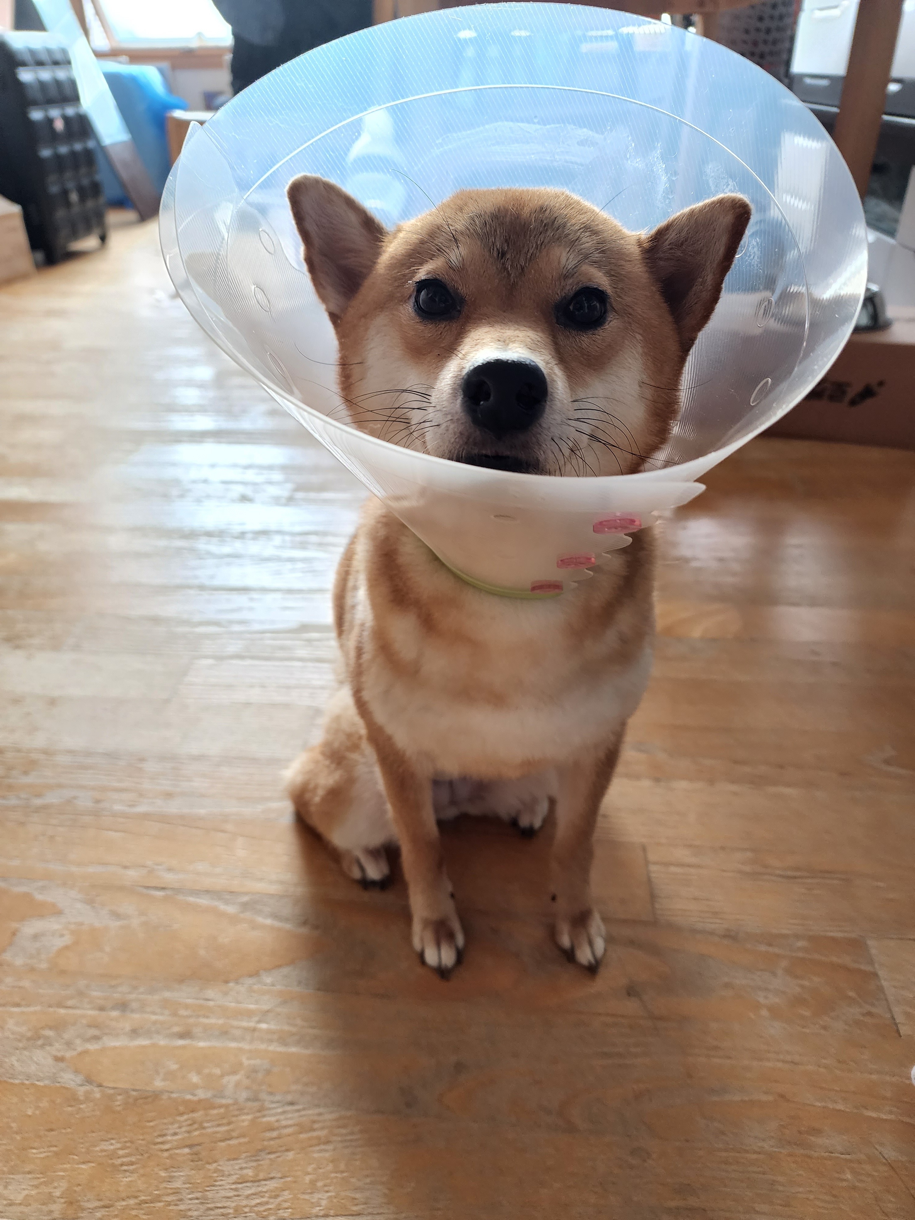 리뷰 사진 1