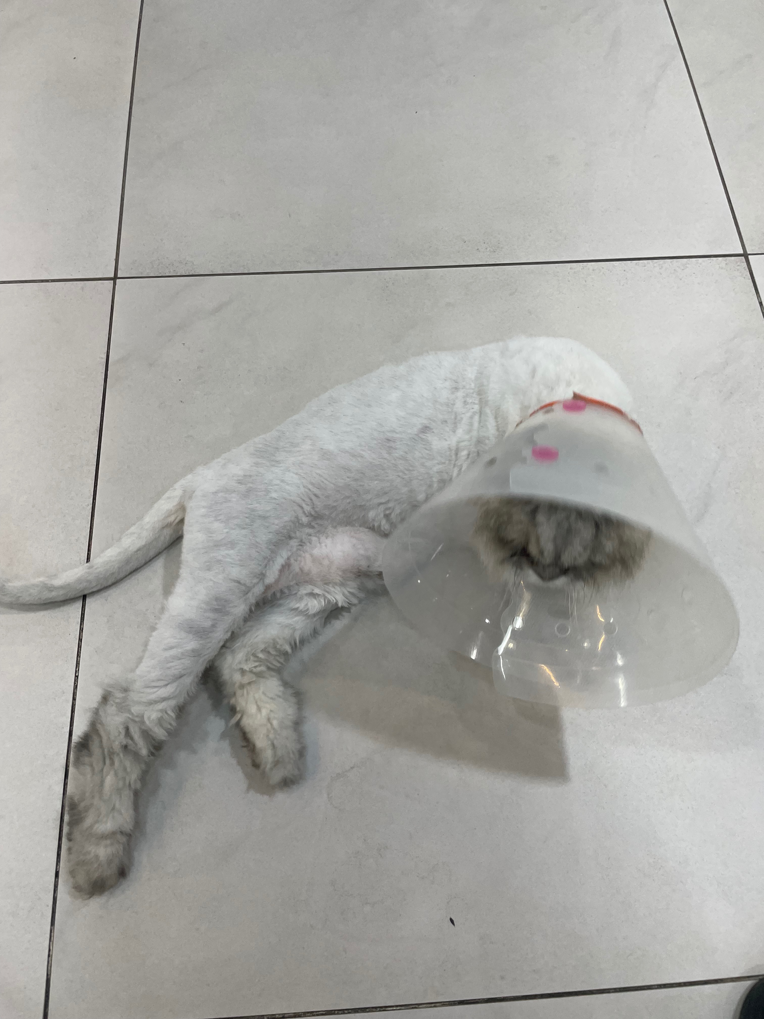 리뷰 사진 1