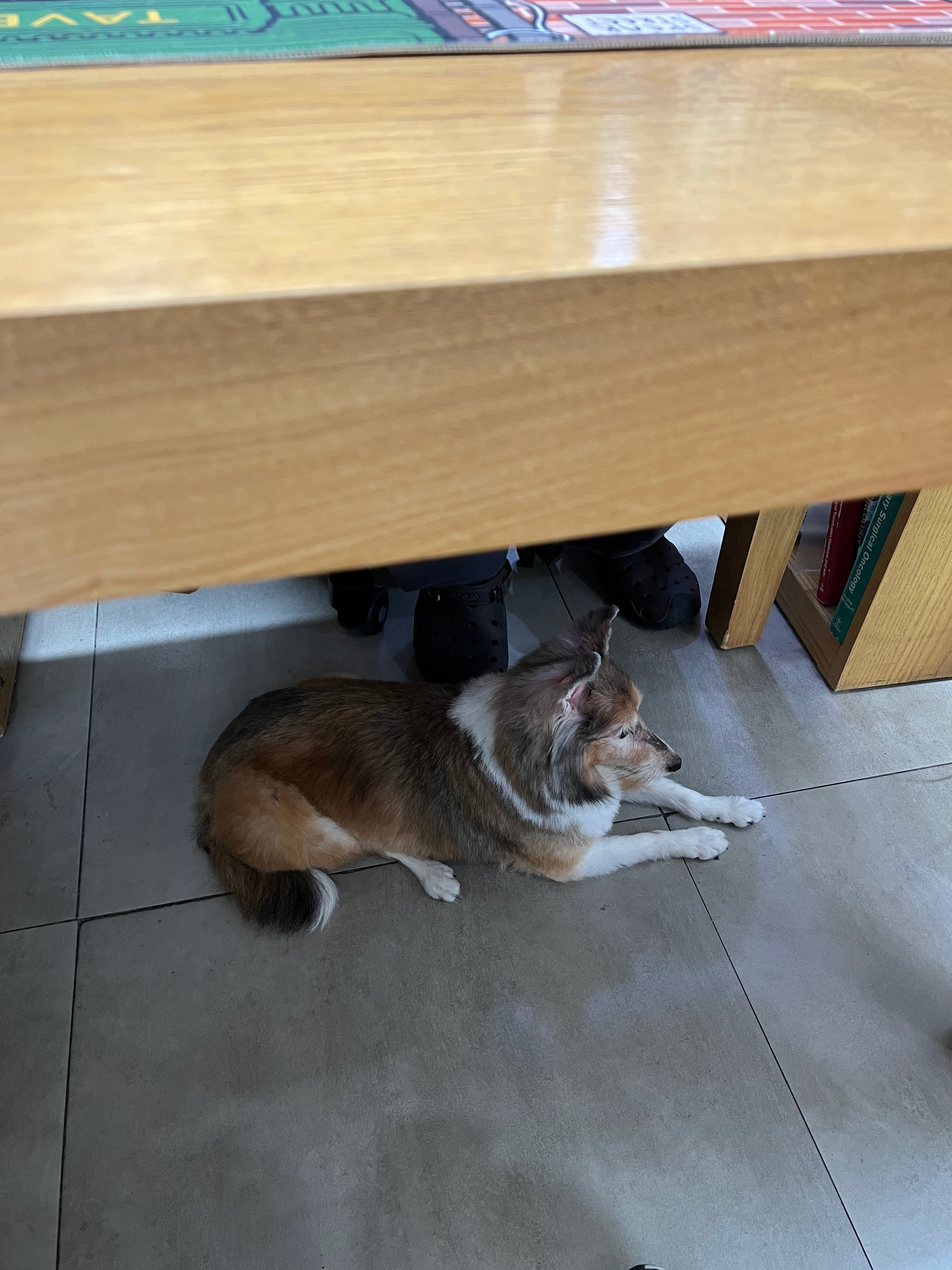 리뷰 사진 2