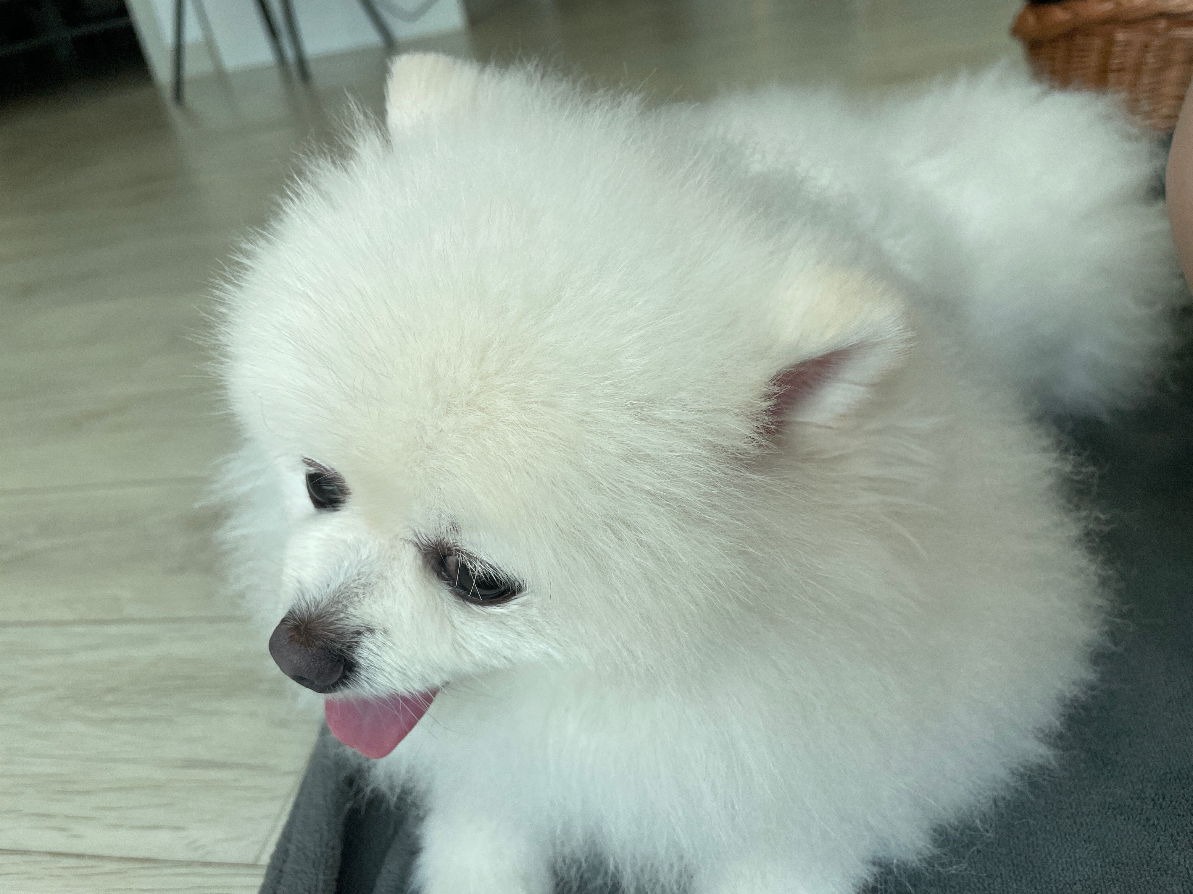 리뷰 사진 1