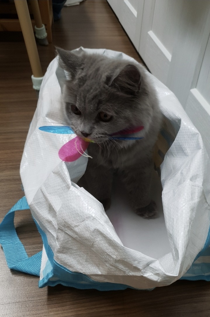 강북동물병원 사진 2