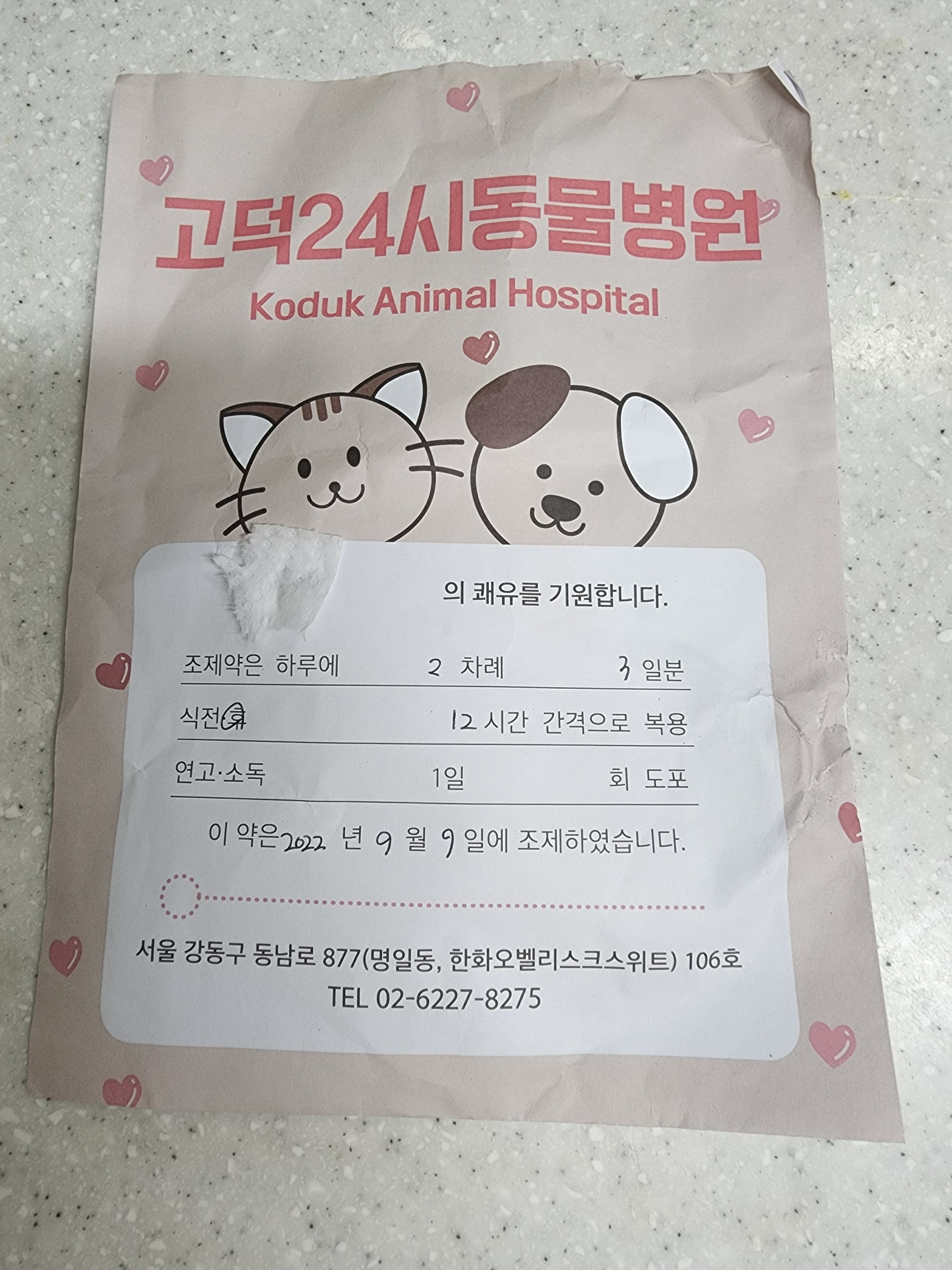 리뷰 사진 1