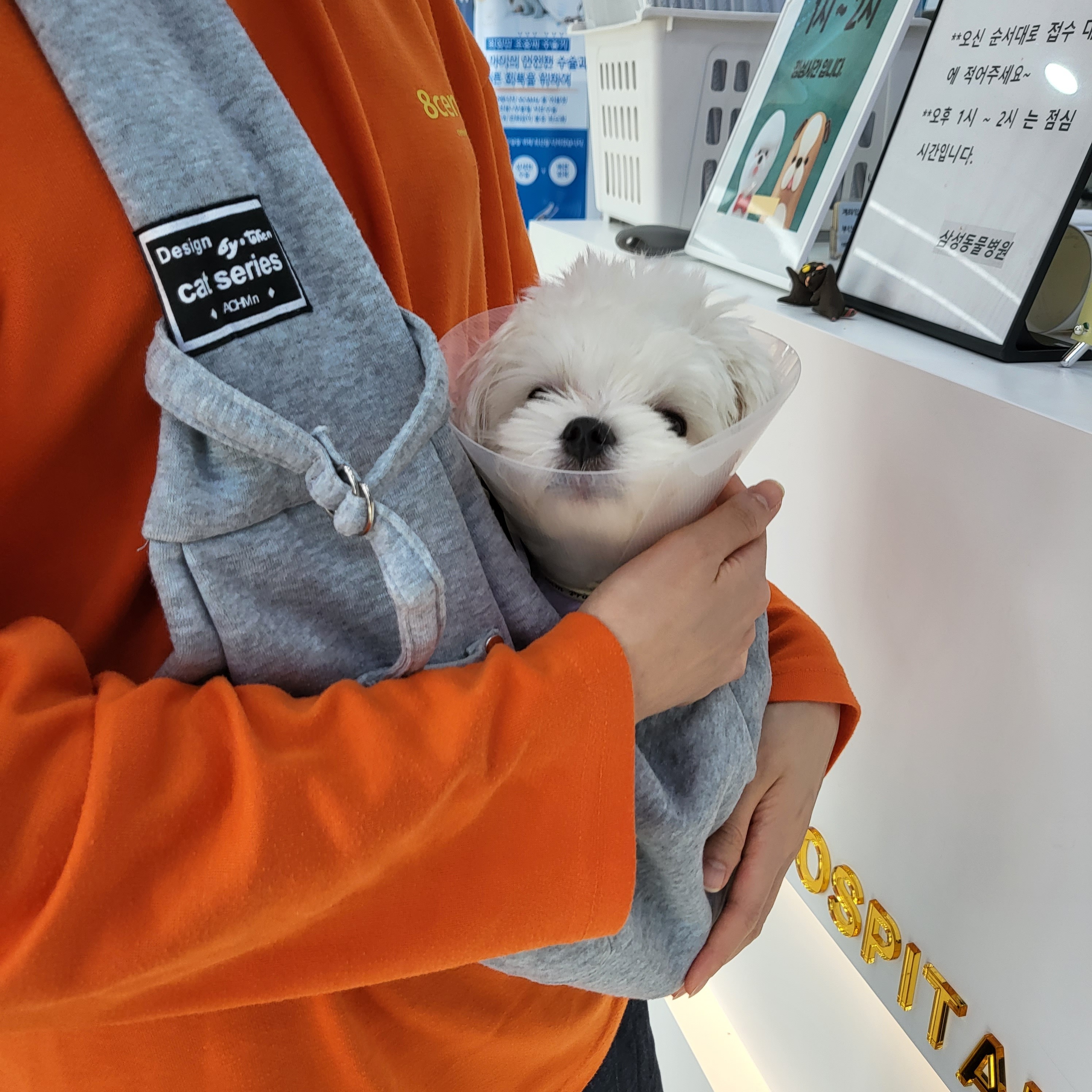 리뷰 사진 1