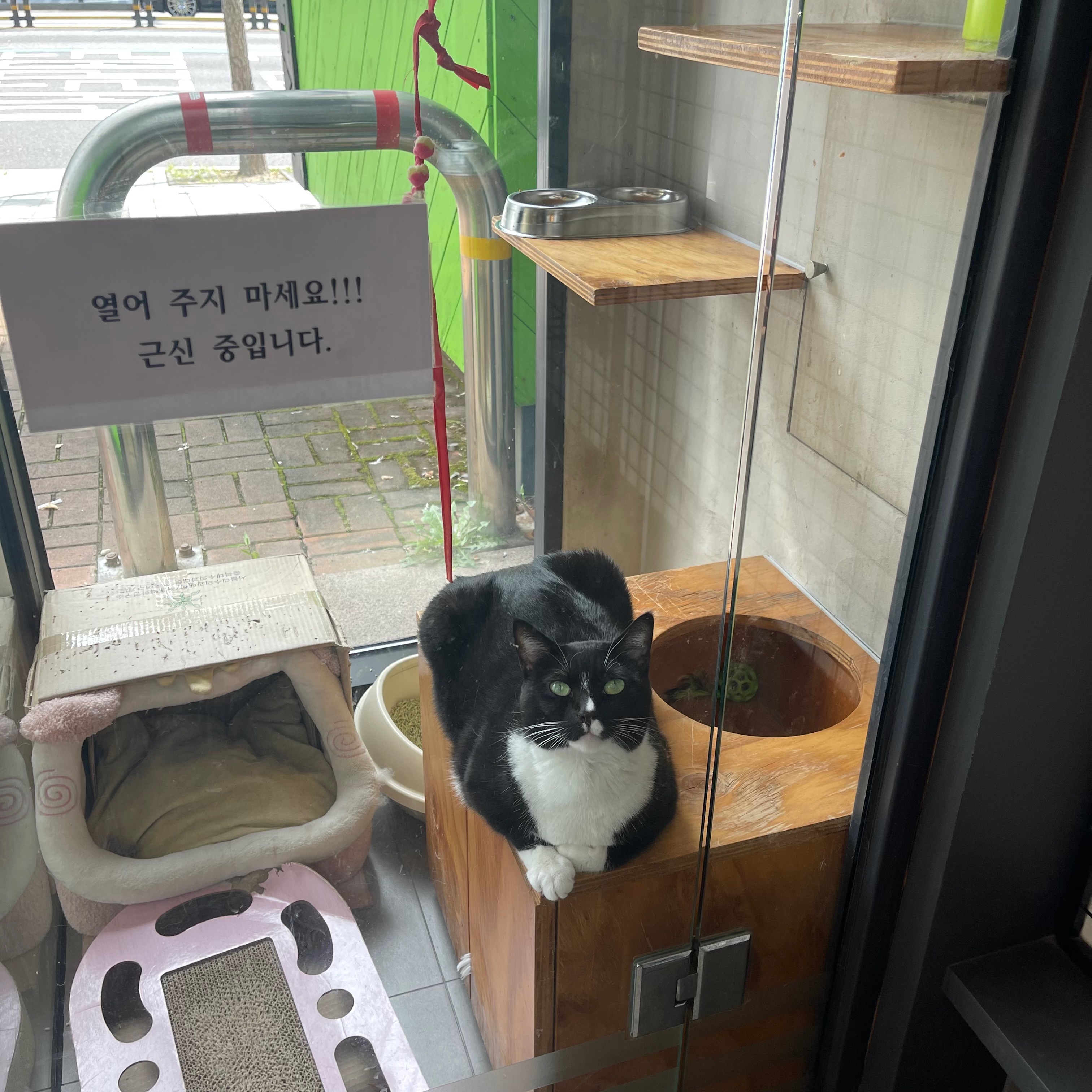 북아현동물병원 사진 2