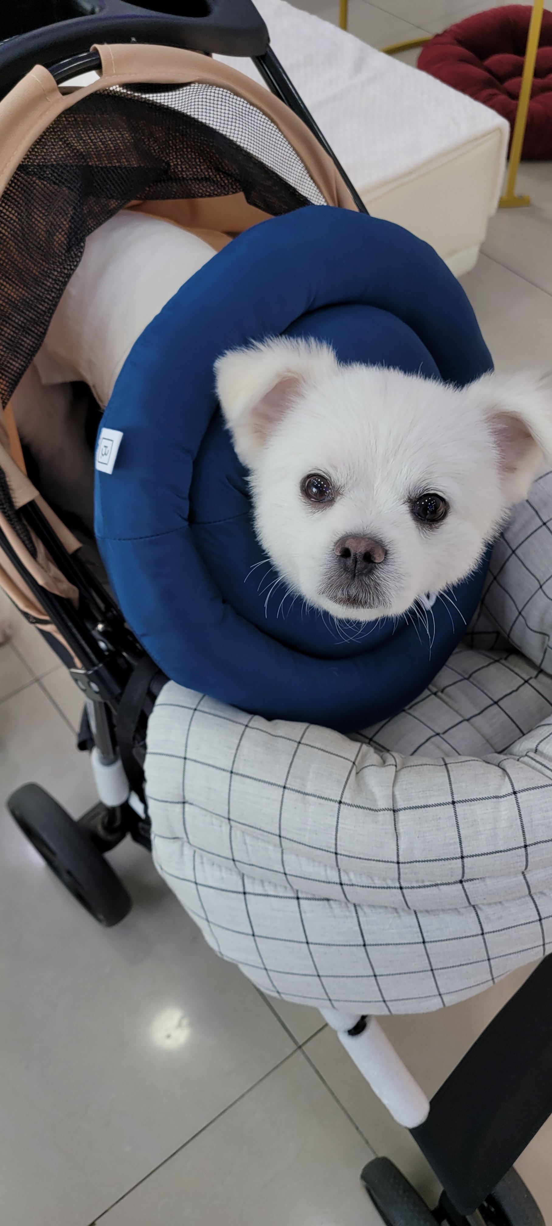 리뷰 사진 1