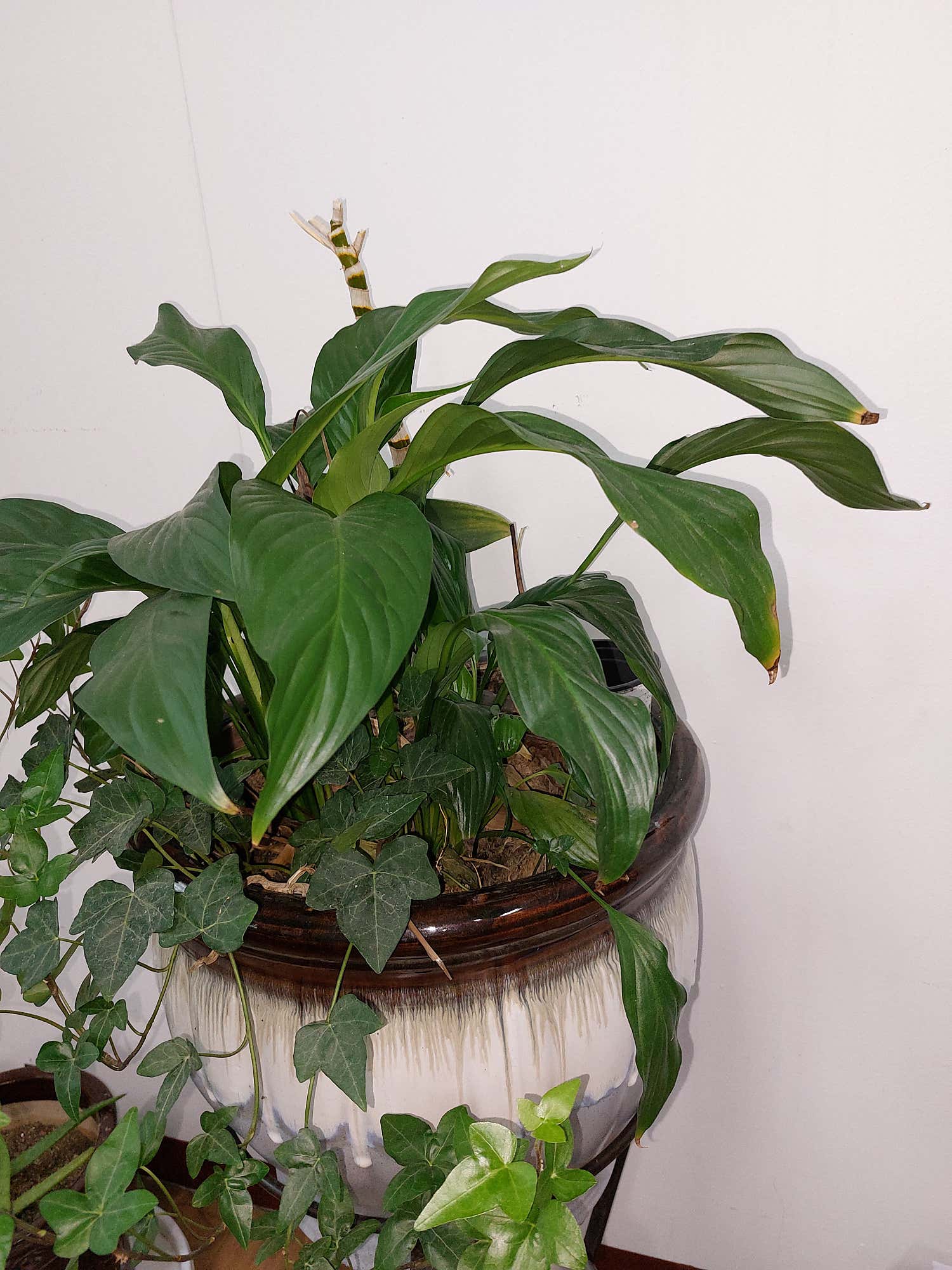 약손테라피 (몽촌토성역) 매장 사진 4