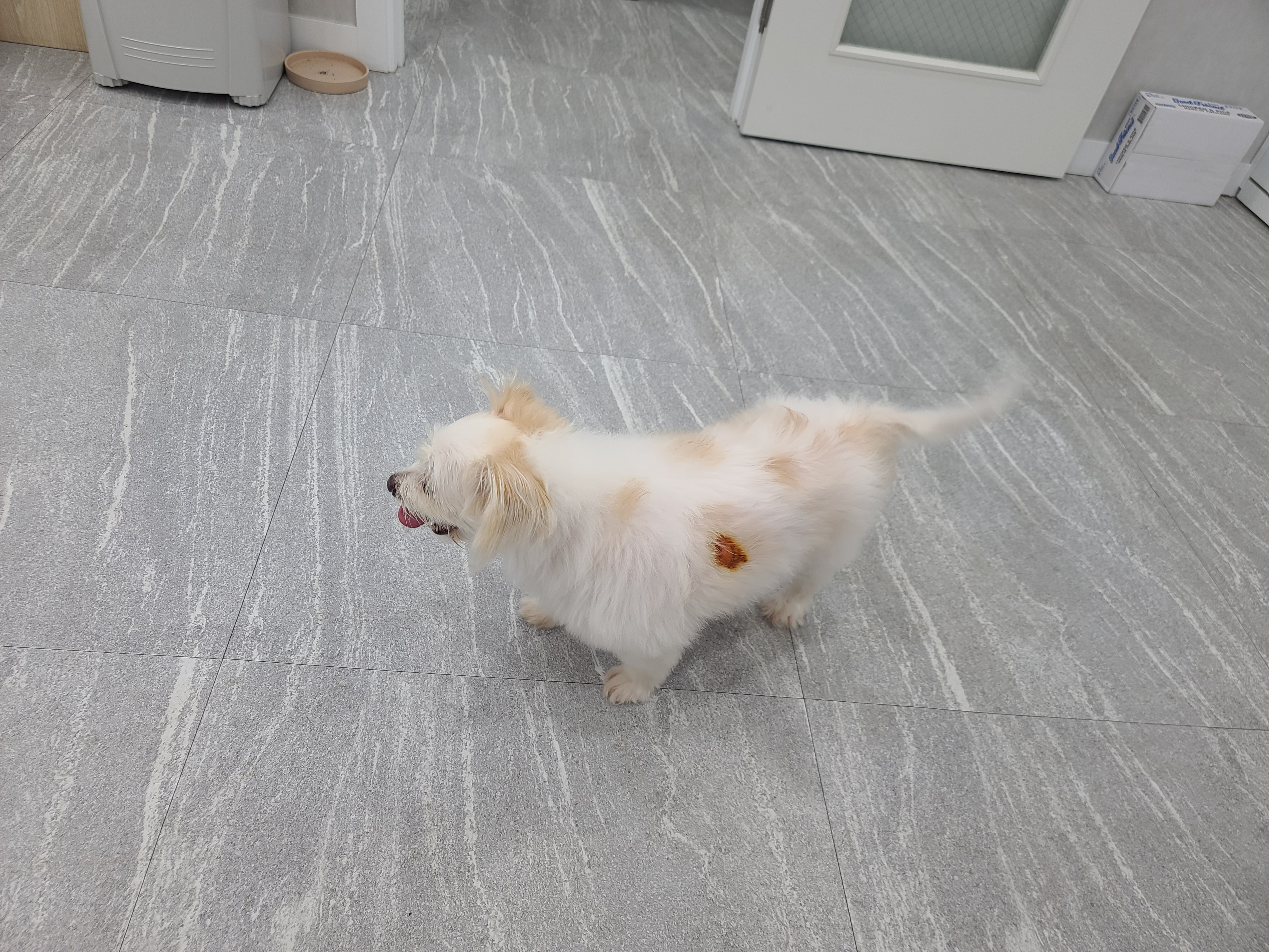리뷰 사진 1