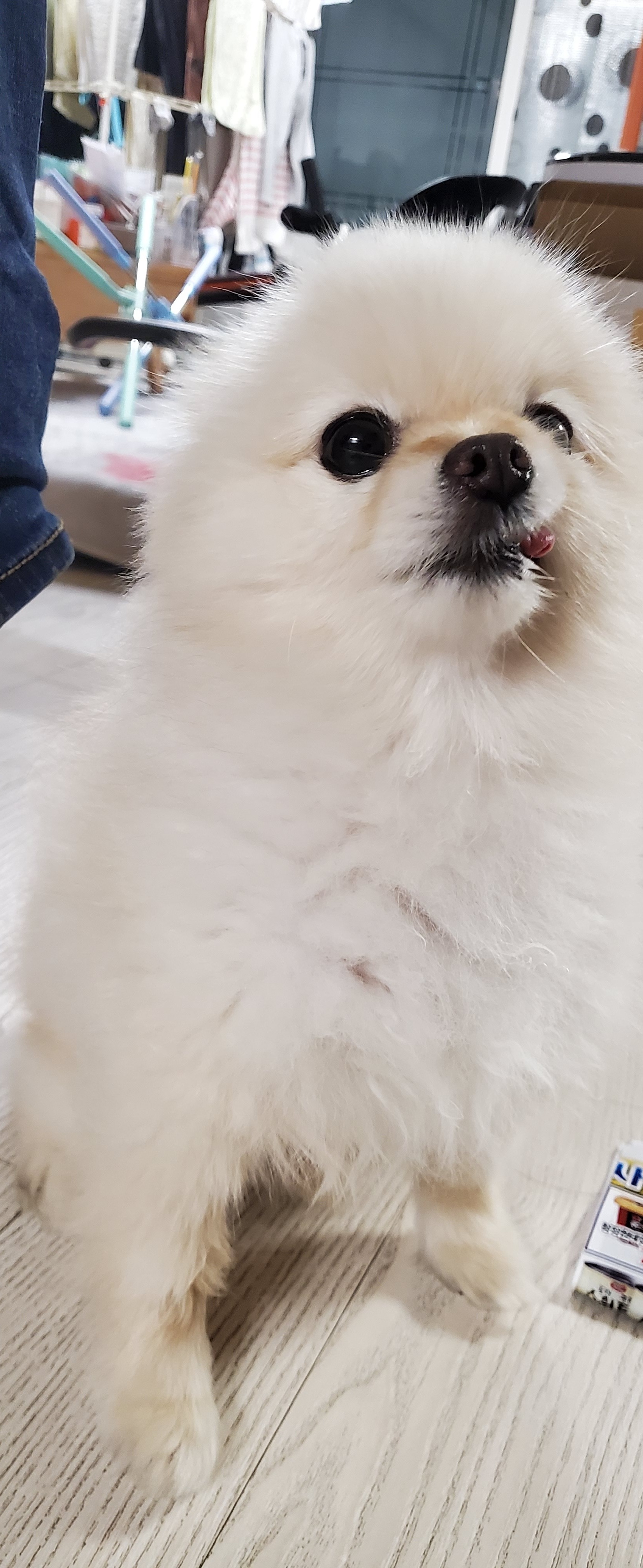 리뷰 사진 1