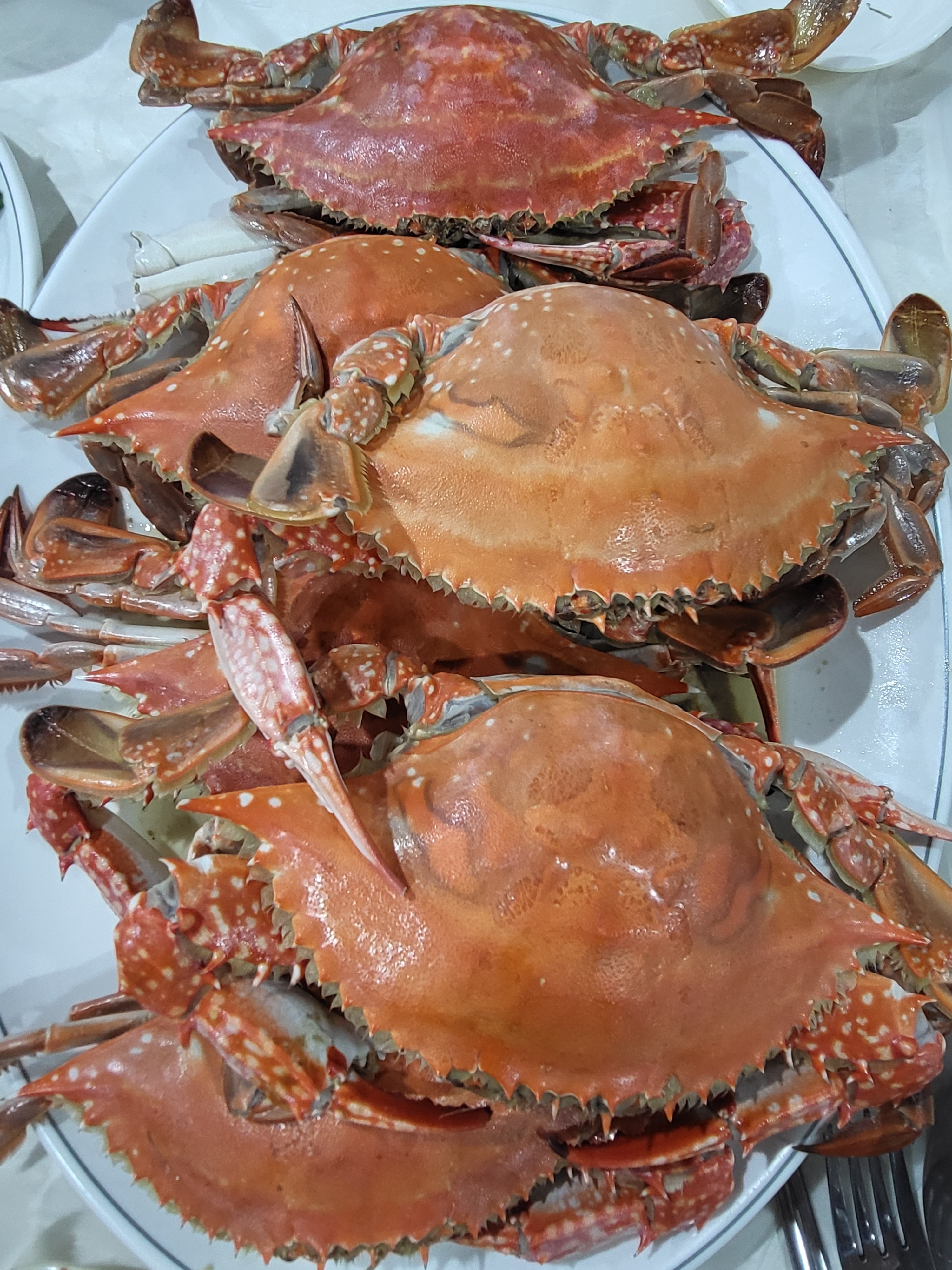 [대천 맛집 대박회센터] 직접 가본 로컬 리뷰