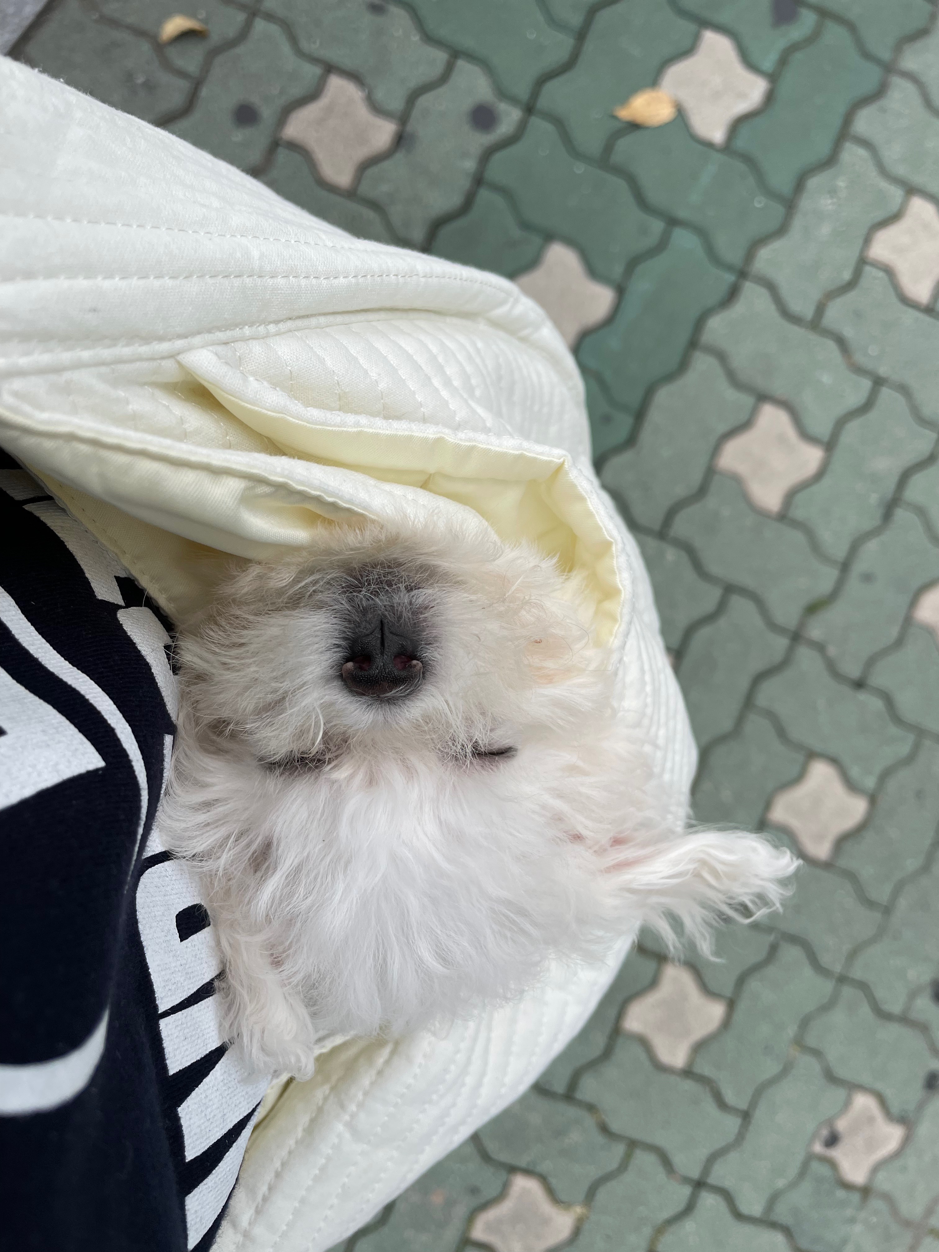 리뷰 사진 1
