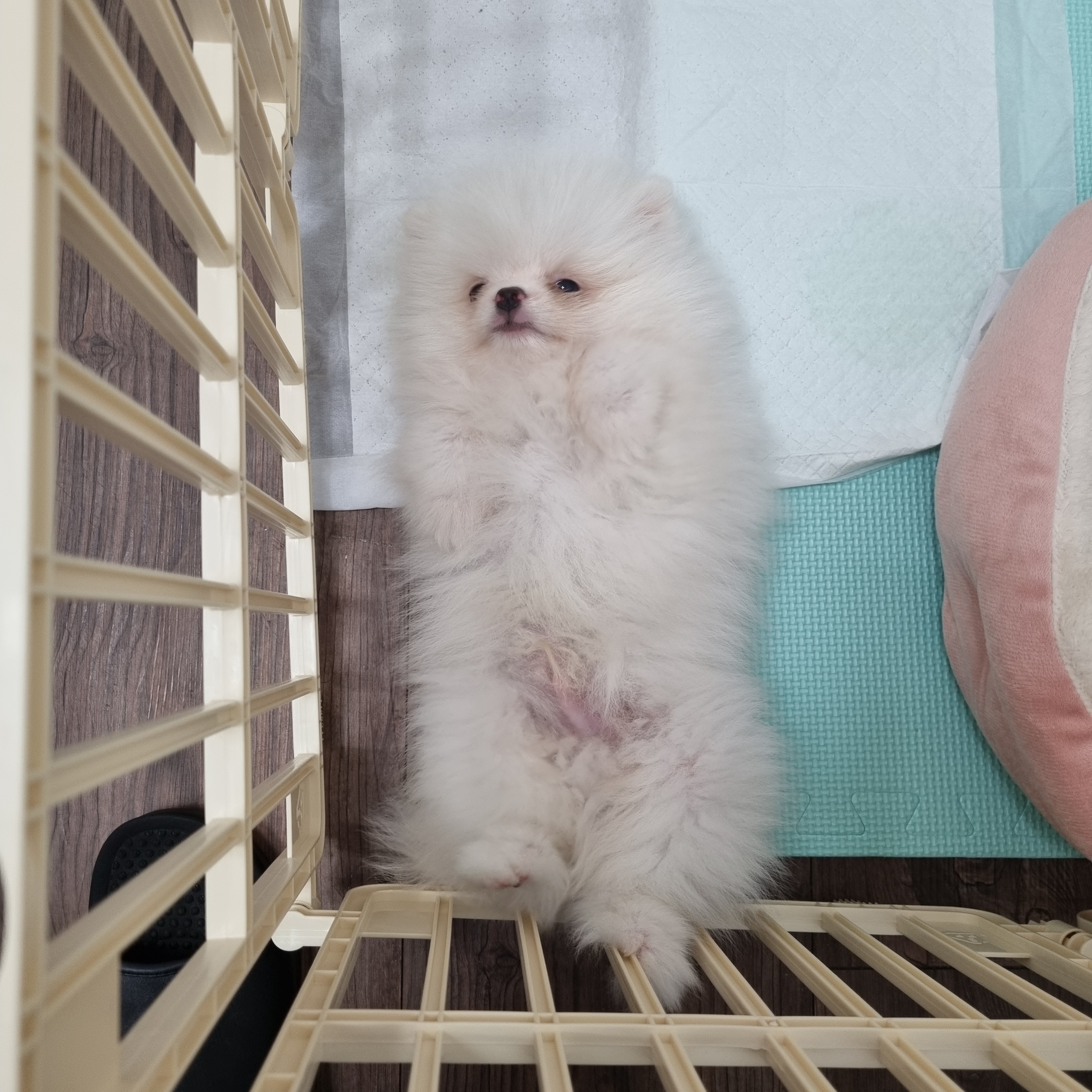 리뷰 사진 1