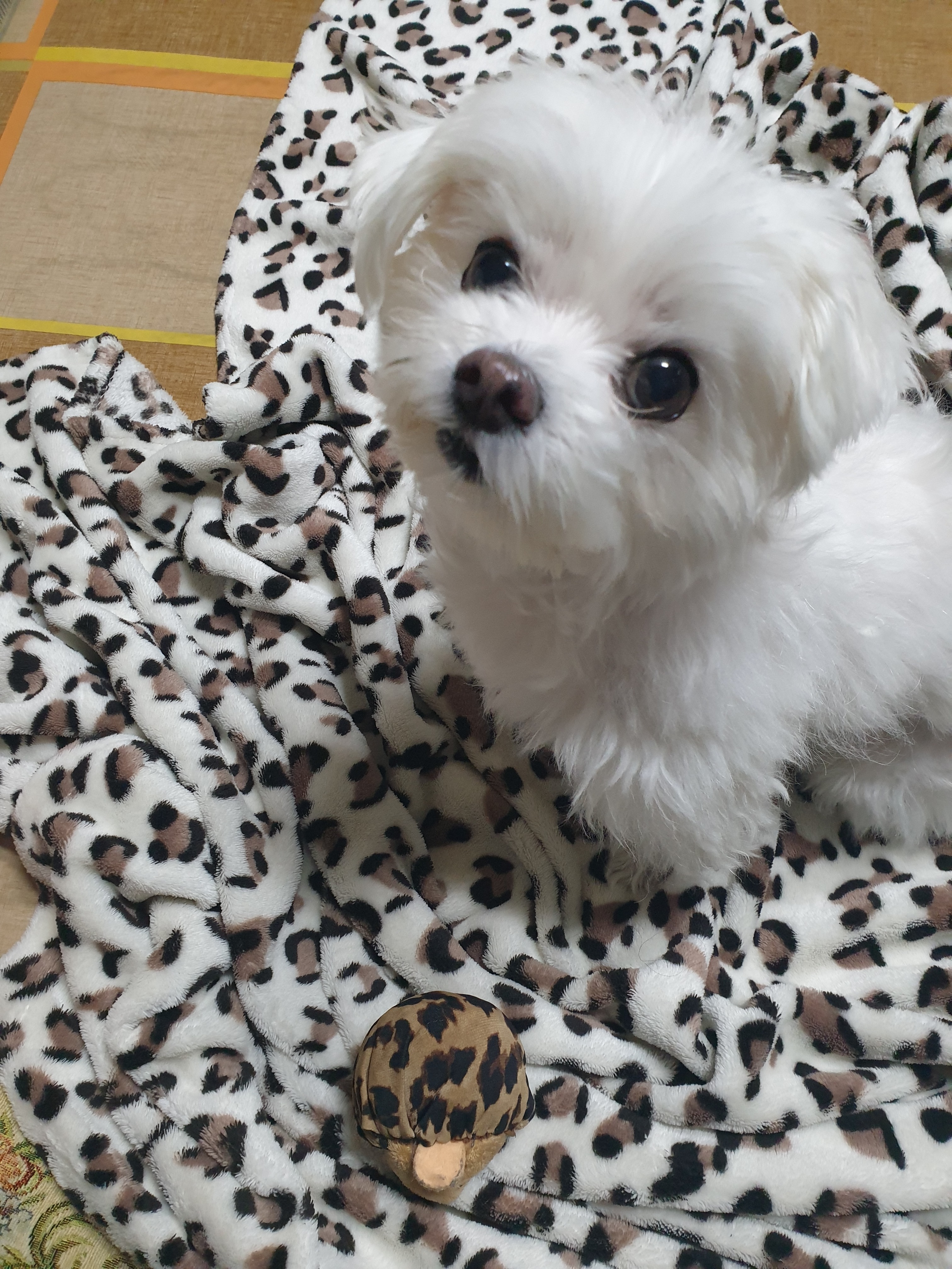리뷰 사진 2