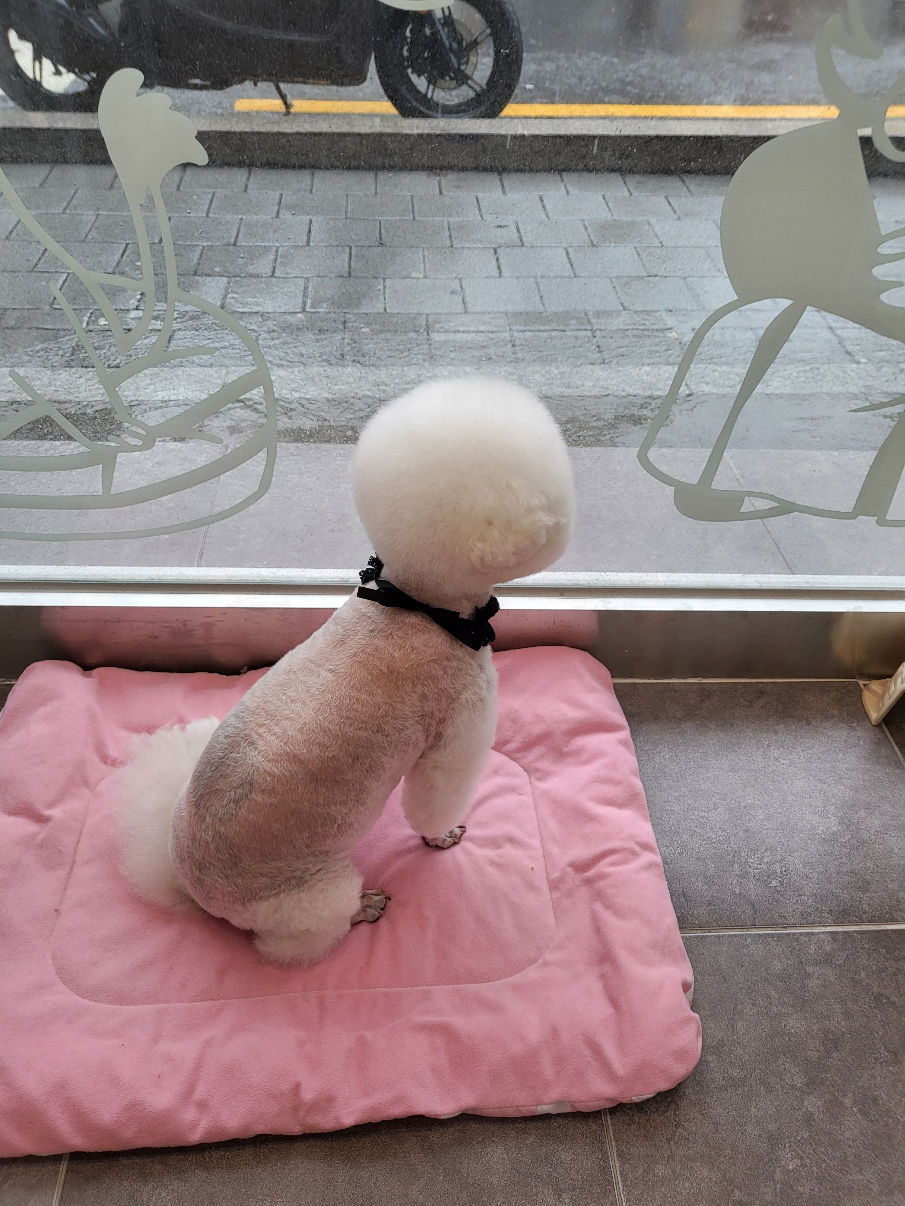 리뷰 사진 2